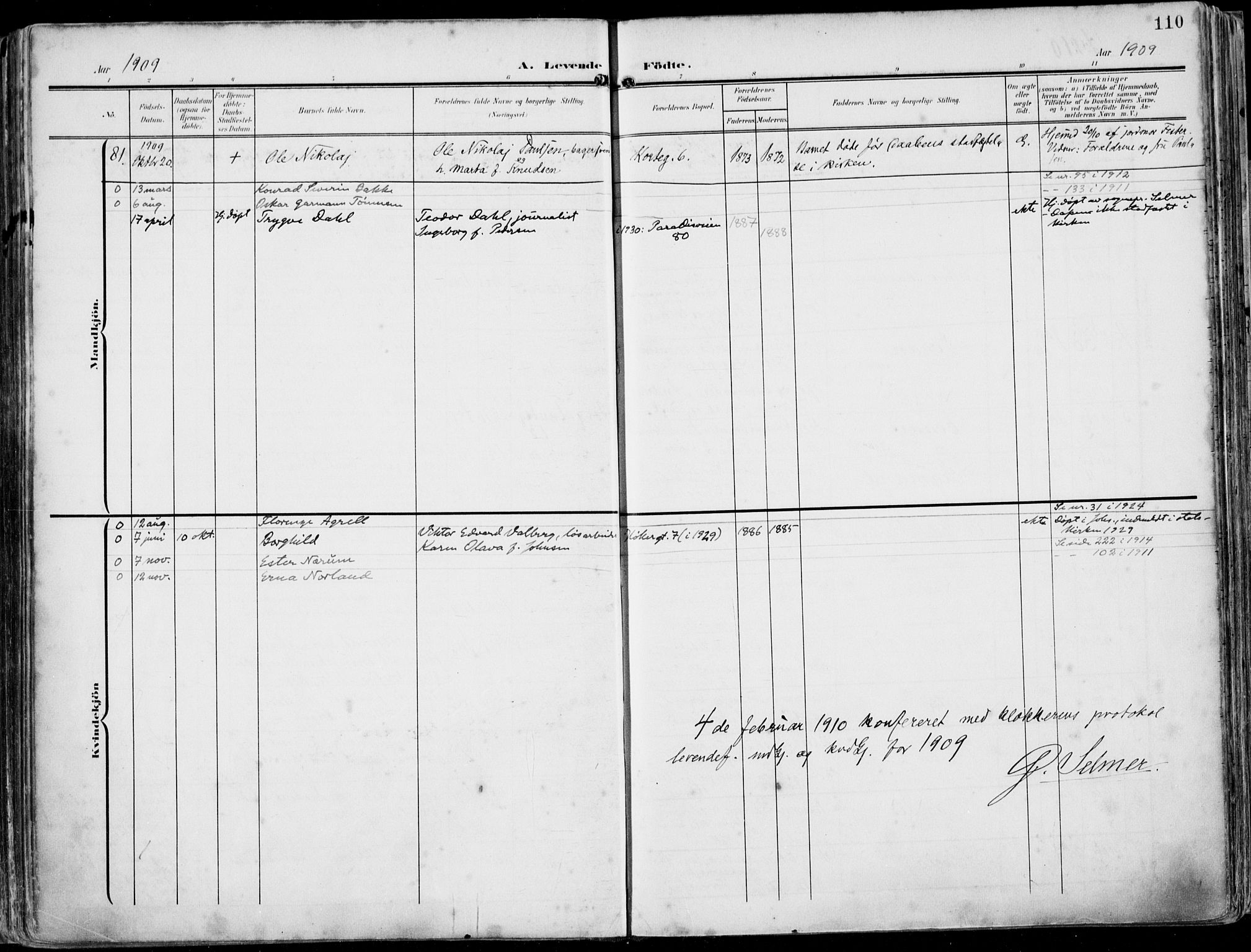 St. Petri sokneprestkontor, AV/SAST-A-101813/002/A/L0005: Parish register (official) no. A 23, 1902-1918, p. 110