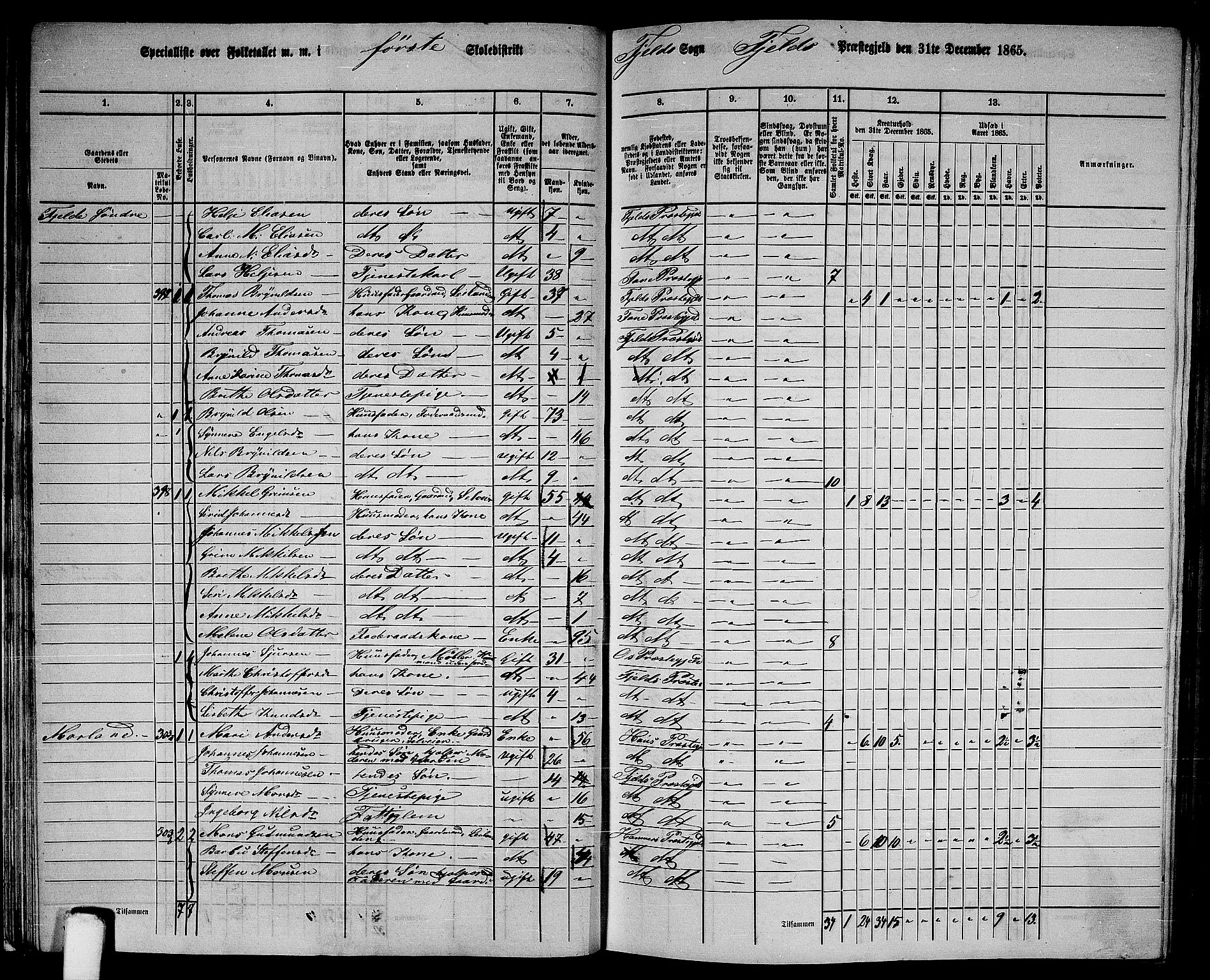 RA, 1865 census for Fjell, 1865, p. 24