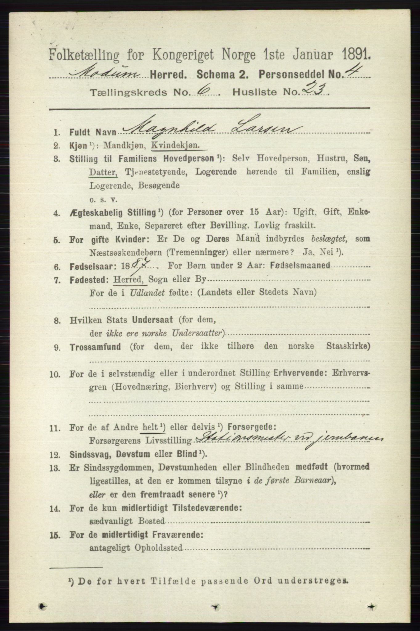 RA, 1891 census for 0623 Modum, 1891, p. 2305