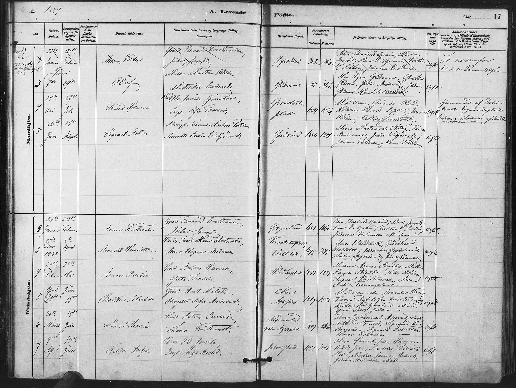 Kråkstad prestekontor Kirkebøker, AV/SAO-A-10125a/F/Fa/L0009: Parish register (official) no. I 9, 1880-1892, p. 17