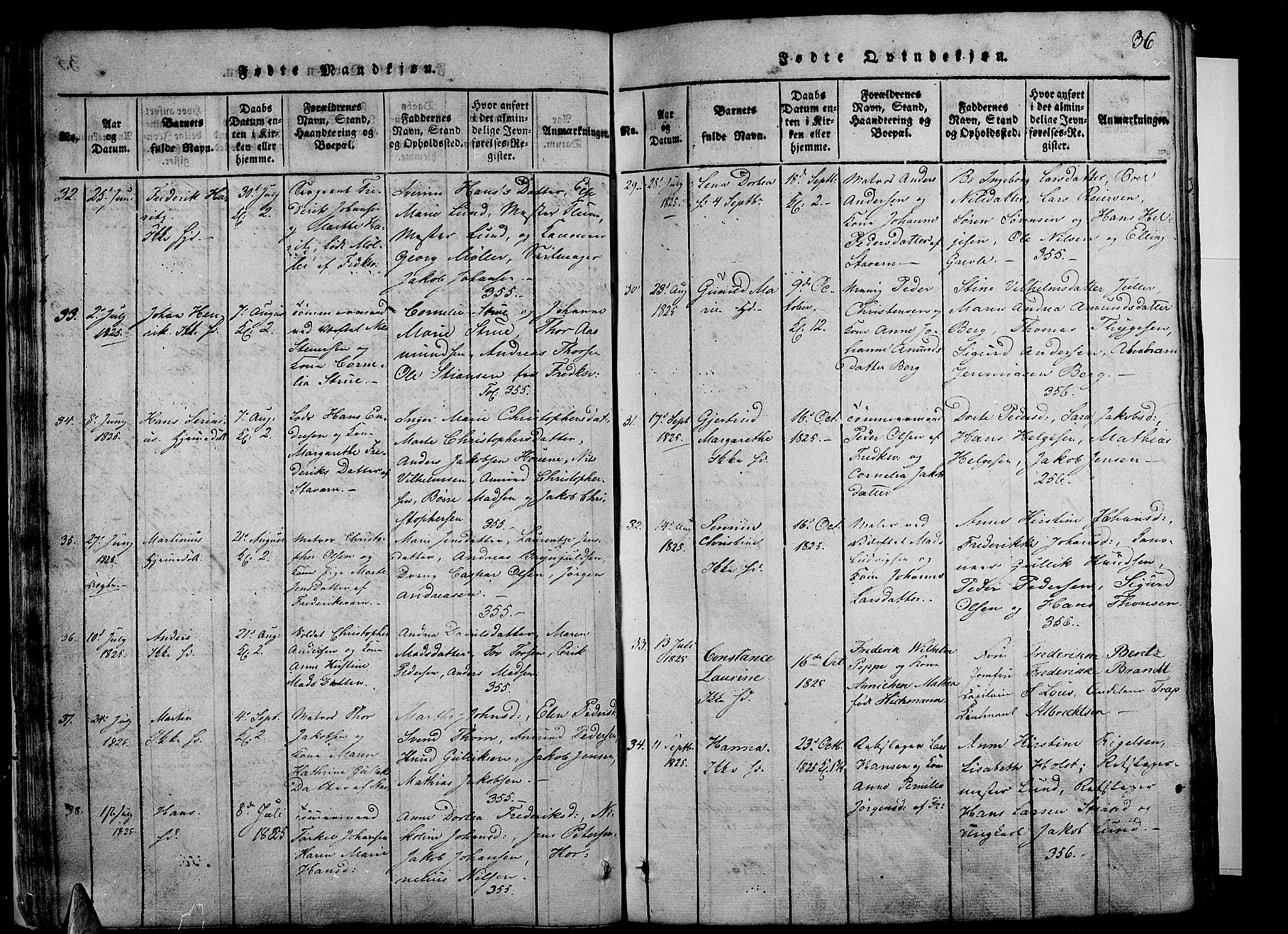 Stavern kirkebøker, SAKO/A-318/G/Ga/L0001: Parish register (copy) no. 1, 1817-1841, p. 36