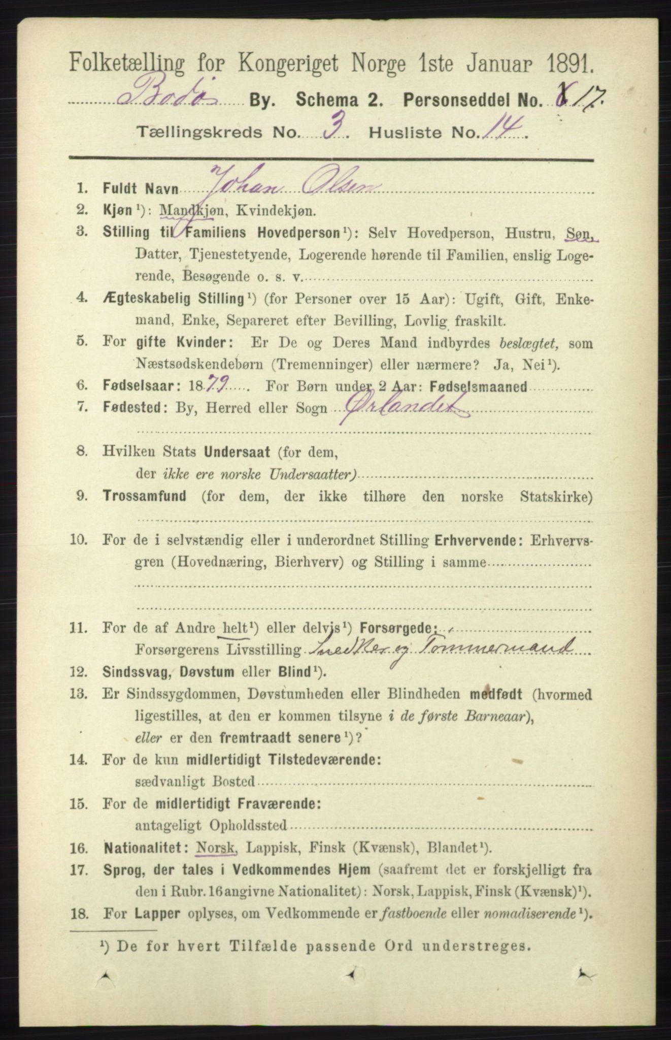 RA, 1891 census for 1804 Bodø, 1891, p. 2196