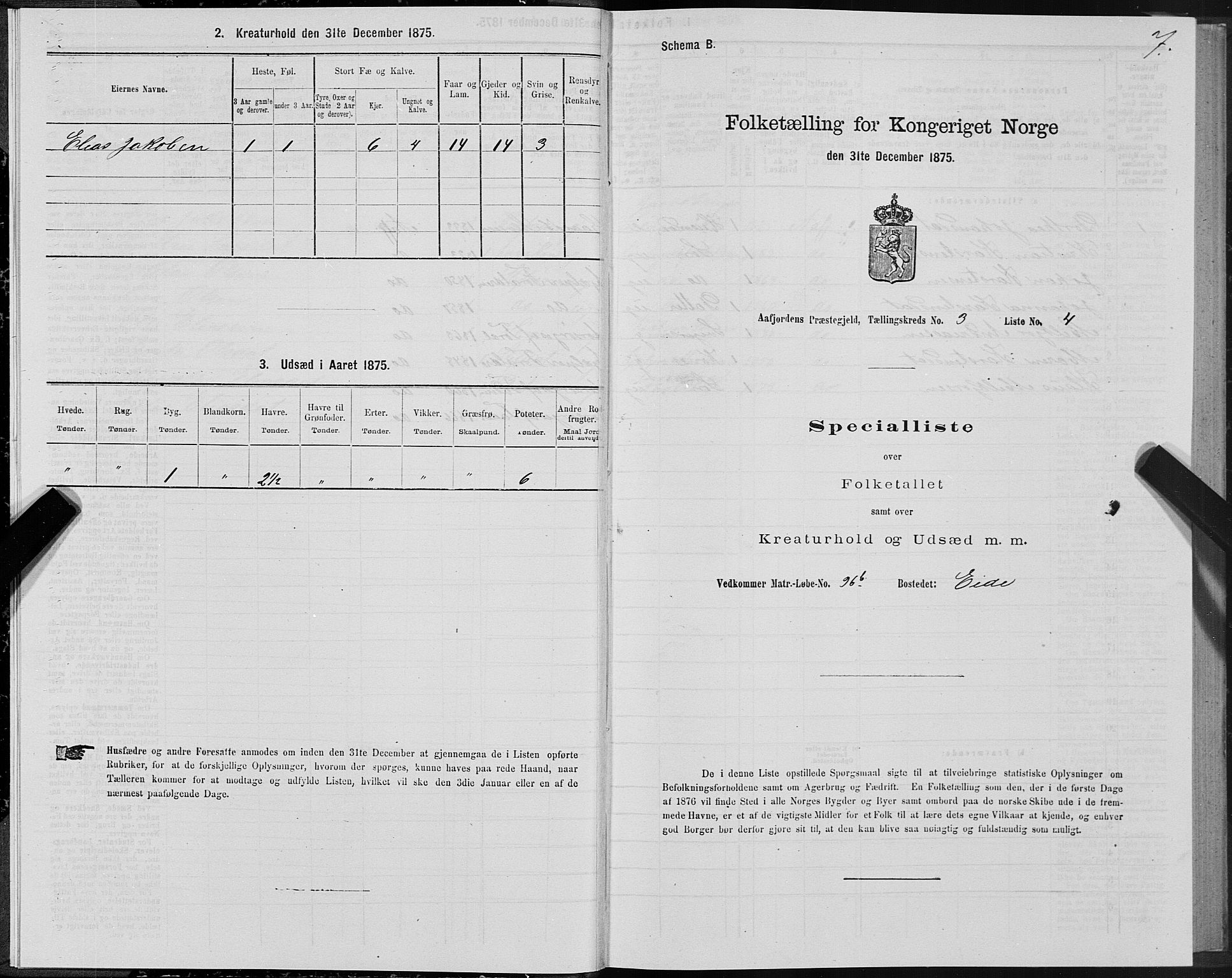 SAT, 1875 census for 1630P Aafjorden, 1875, p. 2007