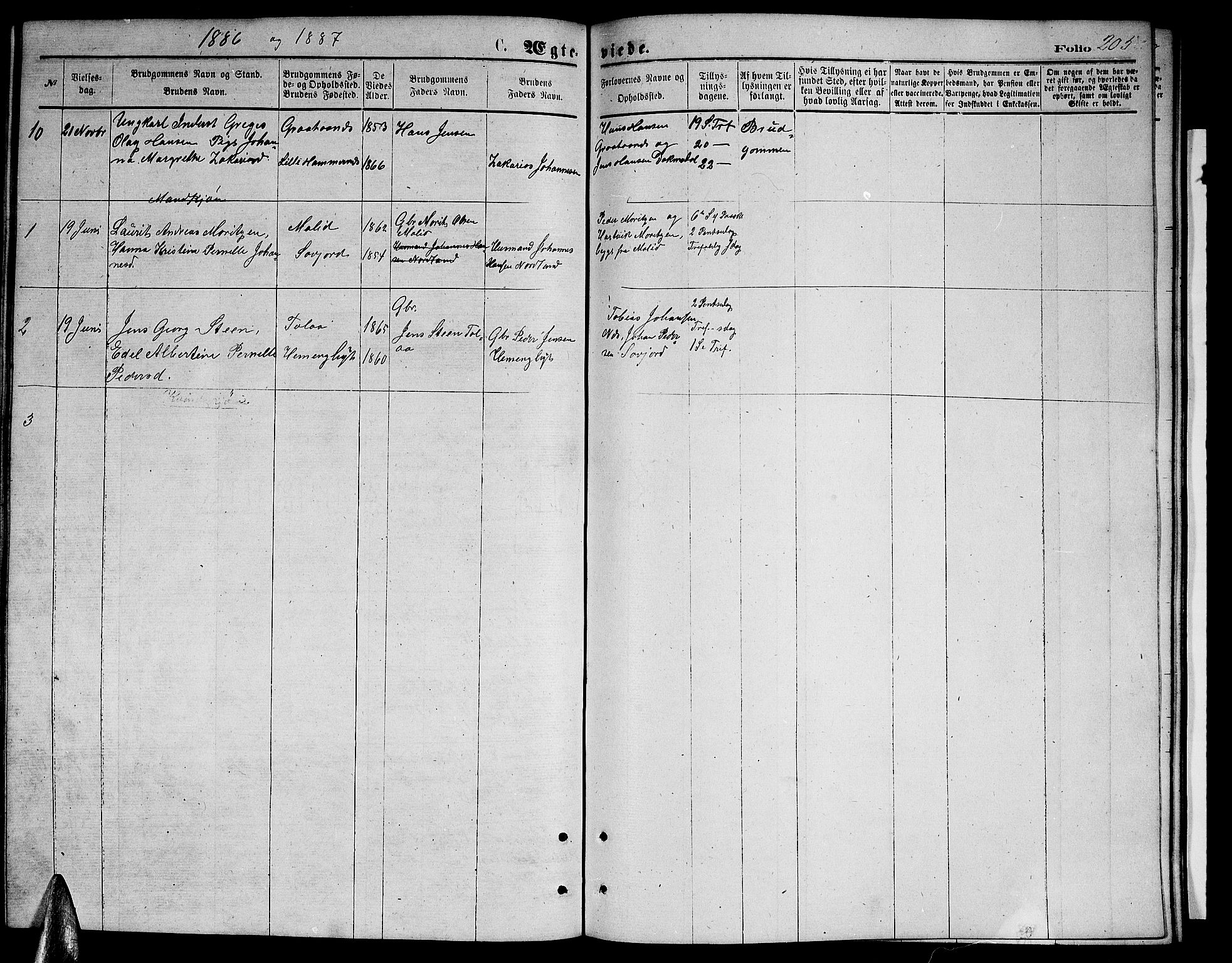 Ministerialprotokoller, klokkerbøker og fødselsregistre - Nordland, AV/SAT-A-1459/846/L0653: Parish register (copy) no. 846C03, 1872-1887, p. 205