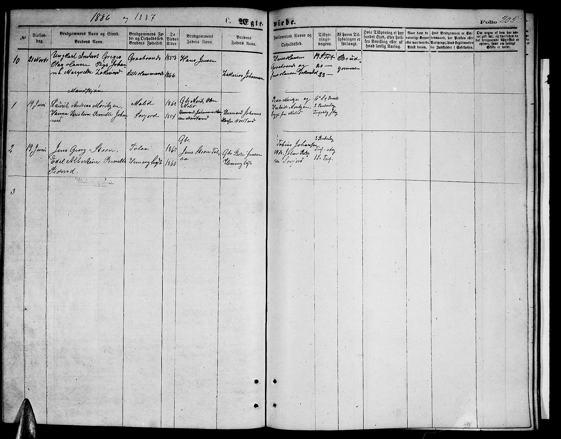 Ministerialprotokoller, klokkerbøker og fødselsregistre - Nordland, AV/SAT-A-1459/846/L0653: Parish register (copy) no. 846C03, 1872-1887, p. 205