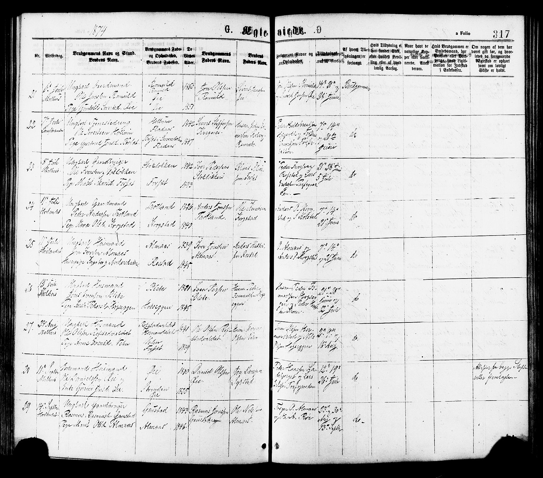 Ministerialprotokoller, klokkerbøker og fødselsregistre - Sør-Trøndelag, AV/SAT-A-1456/691/L1079: Parish register (official) no. 691A11, 1873-1886, p. 317