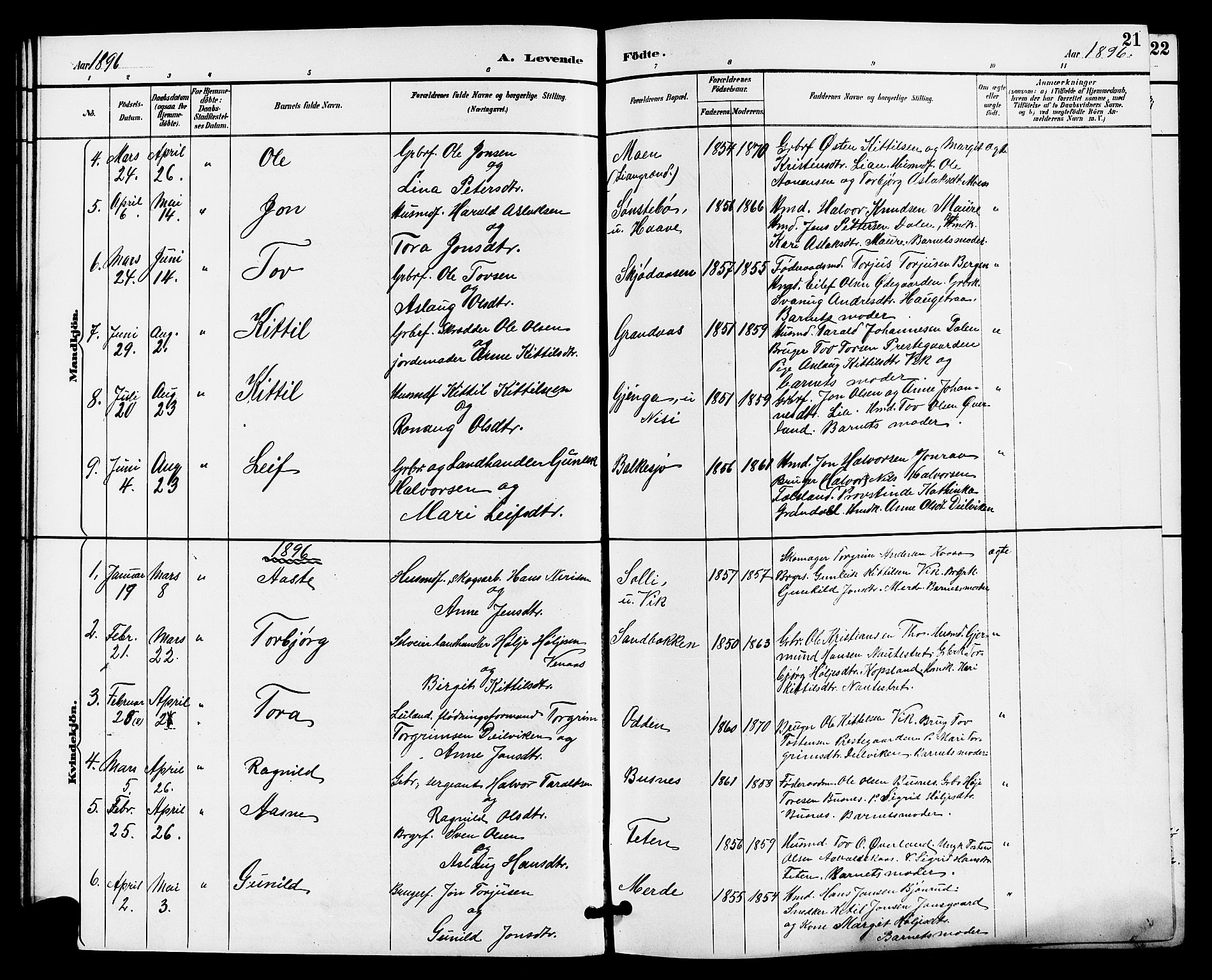 Gransherad kirkebøker, SAKO/A-267/G/Ga/L0003: Parish register (copy) no. I 3, 1887-1915, p. 21