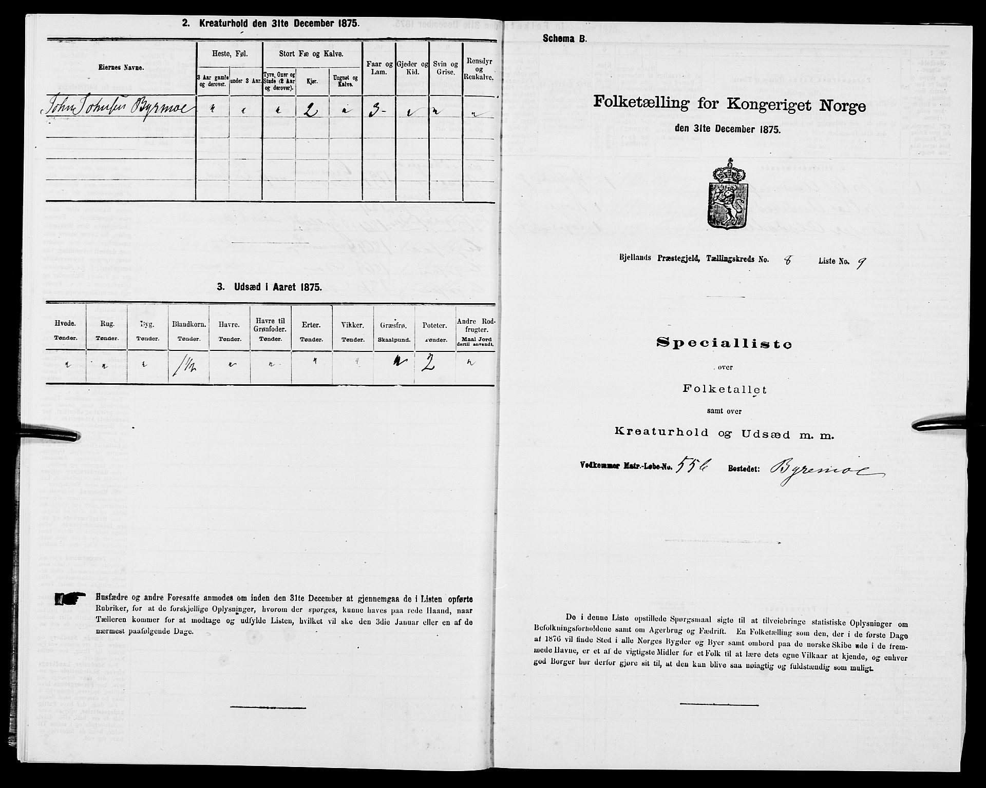 SAK, 1875 census for 1024P Bjelland, 1875, p. 524