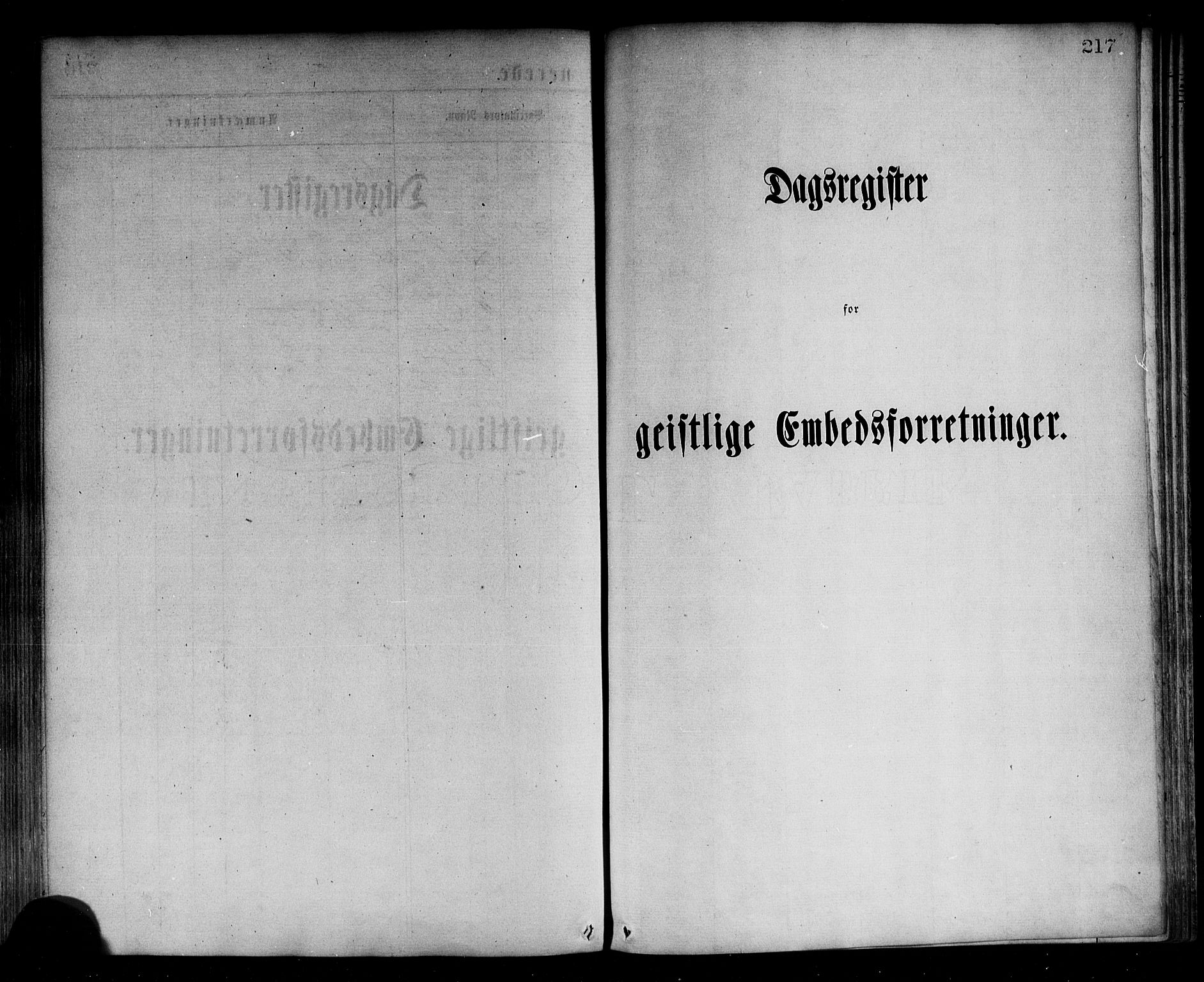 Sogndal sokneprestembete, SAB/A-81301/H/Haa/Haaa/L0014: Parish register (official) no. A 14, 1864-1877, p. 217
