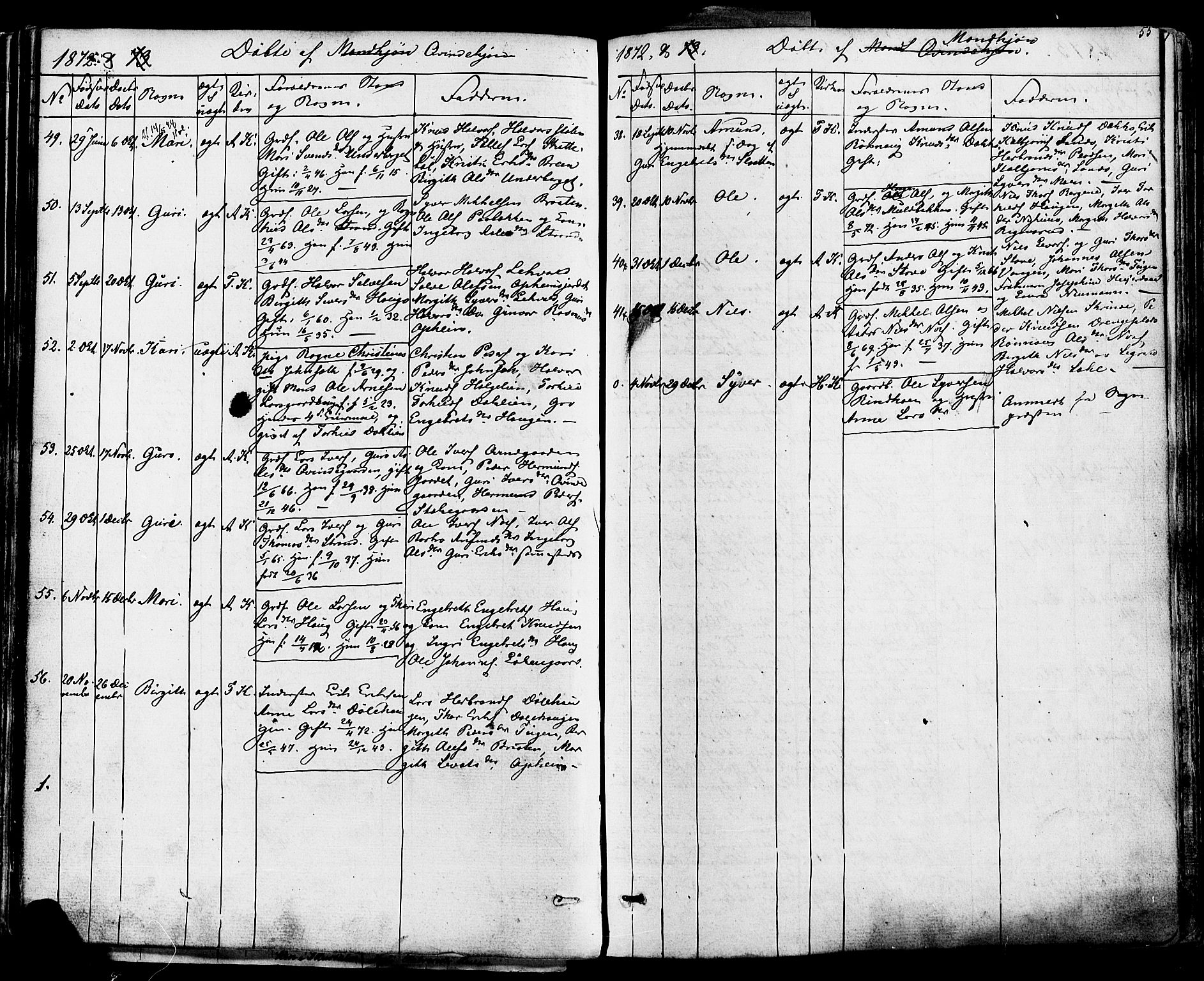 Ål kirkebøker, AV/SAKO-A-249/F/Fa/L0007: Parish register (official) no. I 7, 1865-1881, p. 55