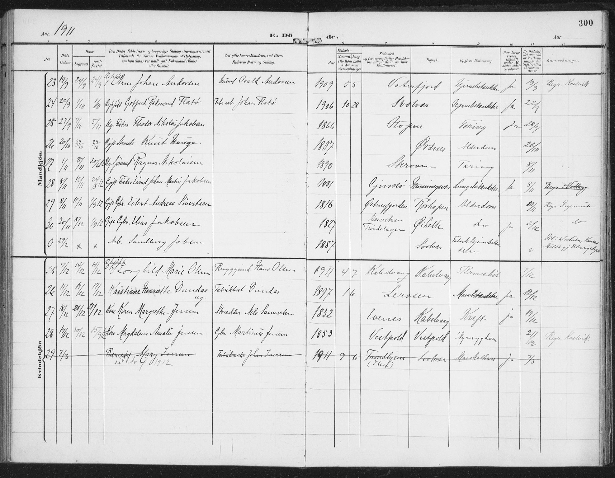 Ministerialprotokoller, klokkerbøker og fødselsregistre - Nordland, AV/SAT-A-1459/874/L1063: Parish register (official) no. 874A07, 1907-1915, p. 300