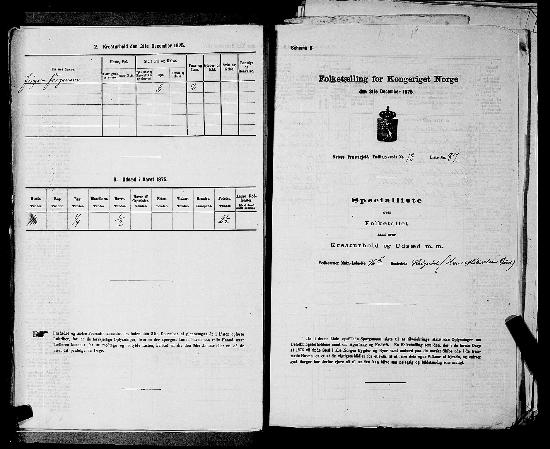 SAKO, 1875 census for 0722P Nøtterøy, 1875, p. 3028