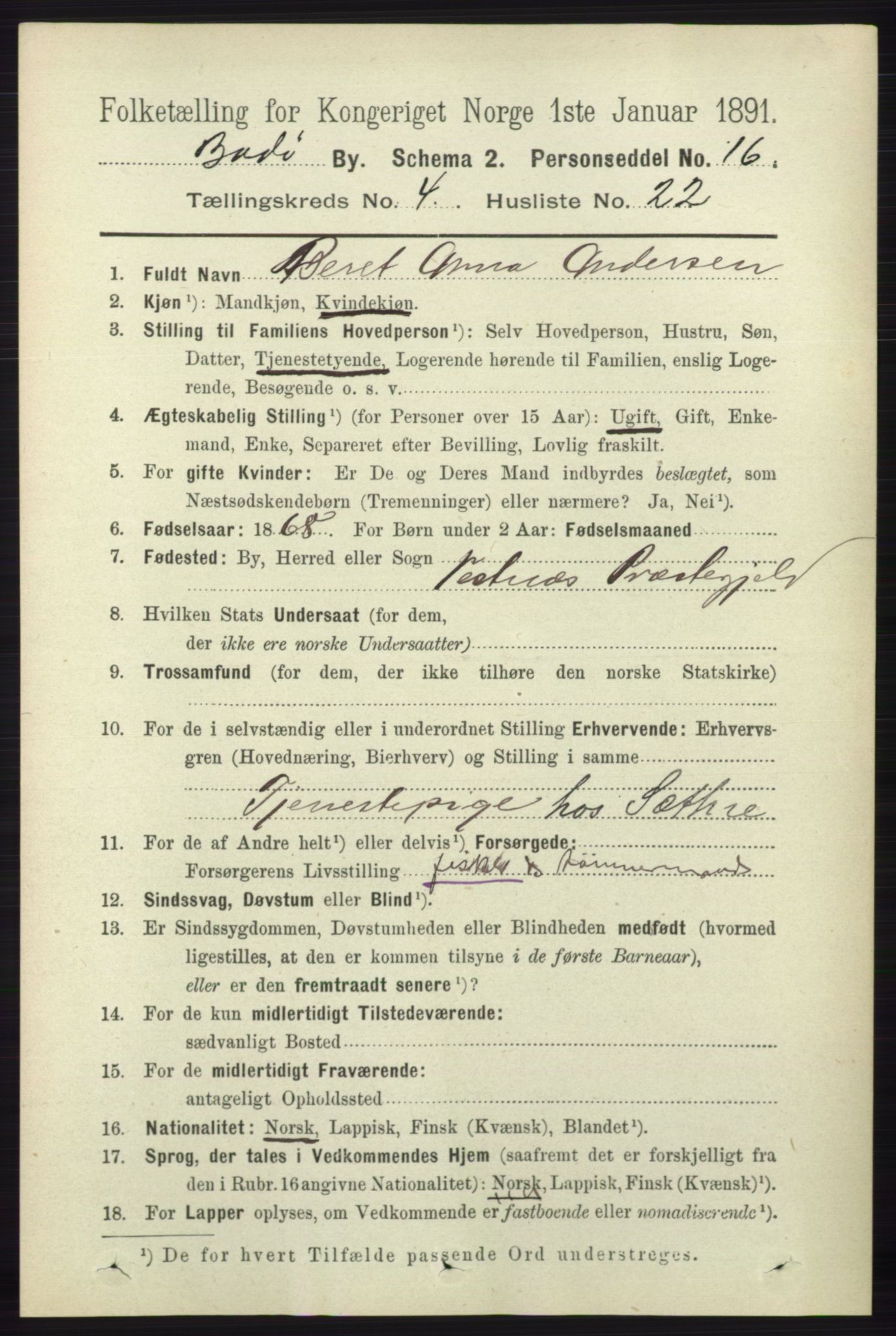 RA, 1891 census for 1804 Bodø, 1891, p. 3247