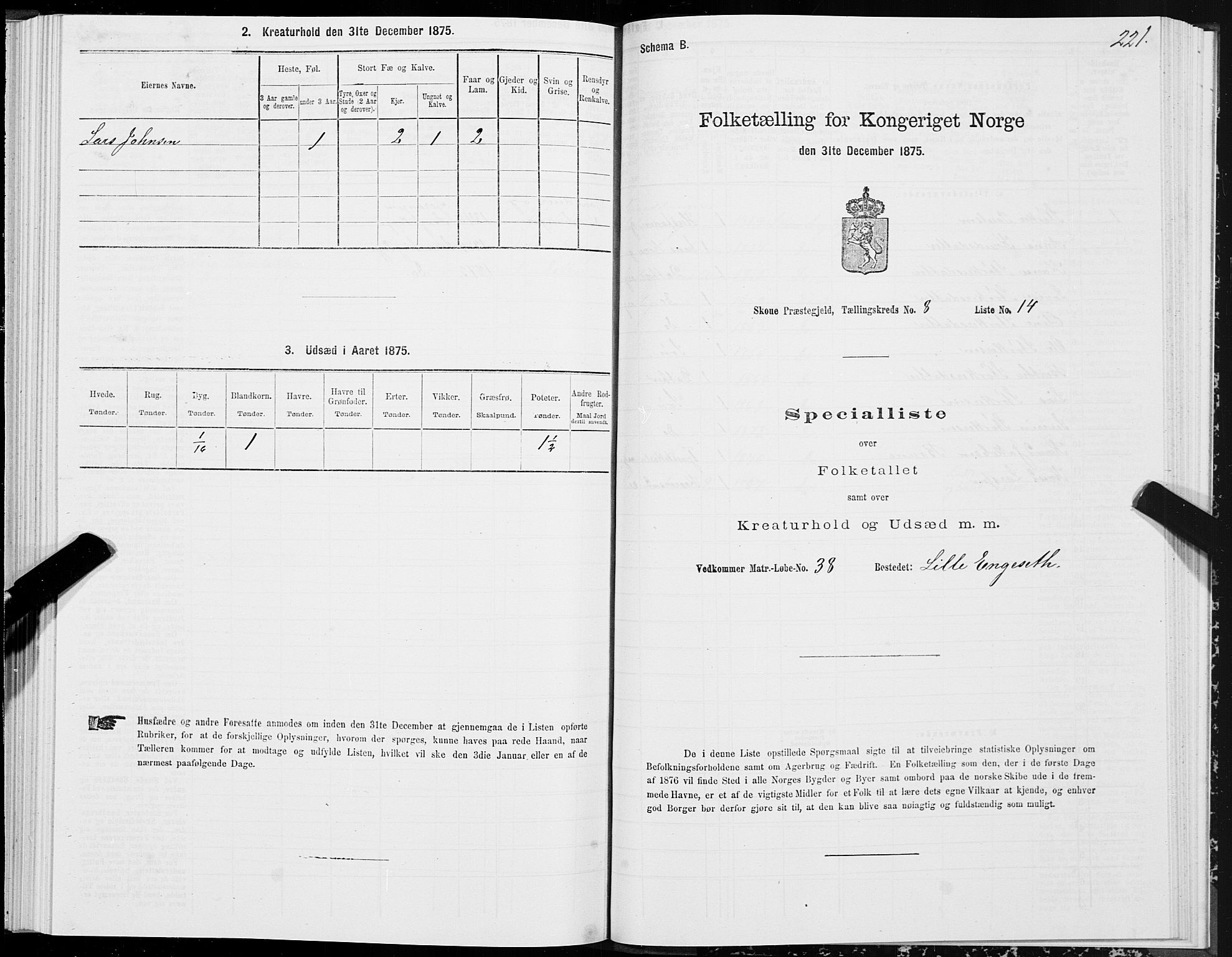 SAT, 1875 census for 1529P Skodje, 1875, p. 2221