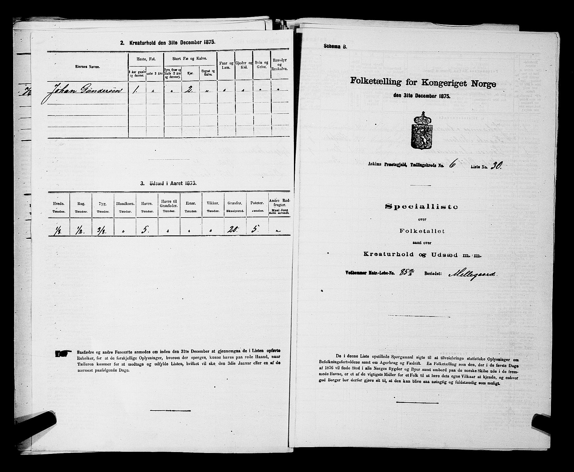 RA, 1875 census for 0124P Askim, 1875, p. 423