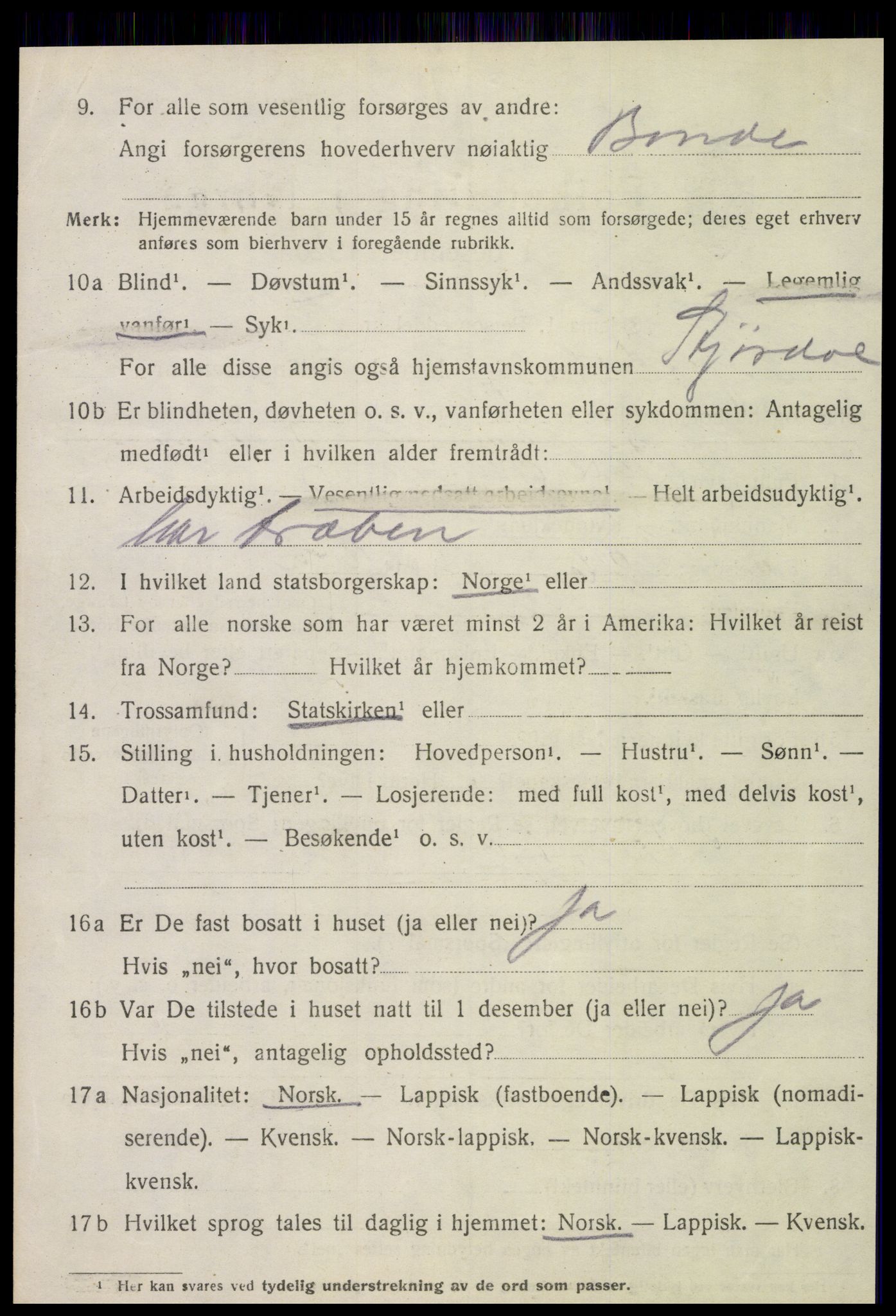 SAT, 1920 census for Stjørdal, 1920, p. 1299