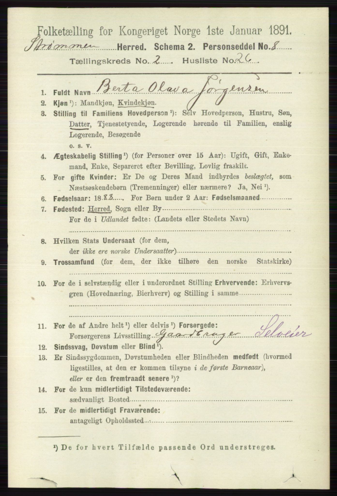 RA, 1891 census for 0711 Strømm, 1891, p. 845