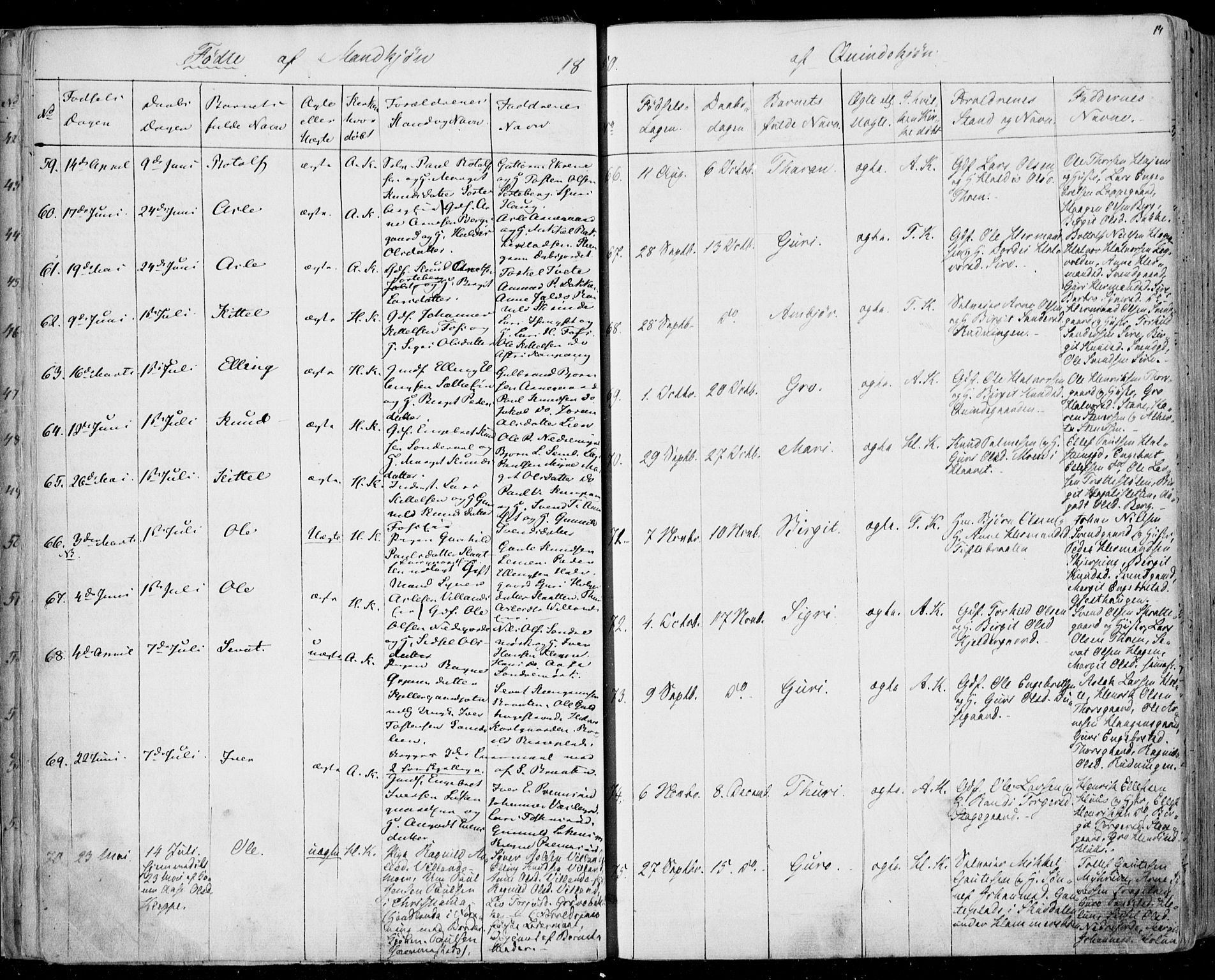 Ål kirkebøker, AV/SAKO-A-249/F/Fa/L0006: Parish register (official) no. I 6, 1849-1864, p. 14