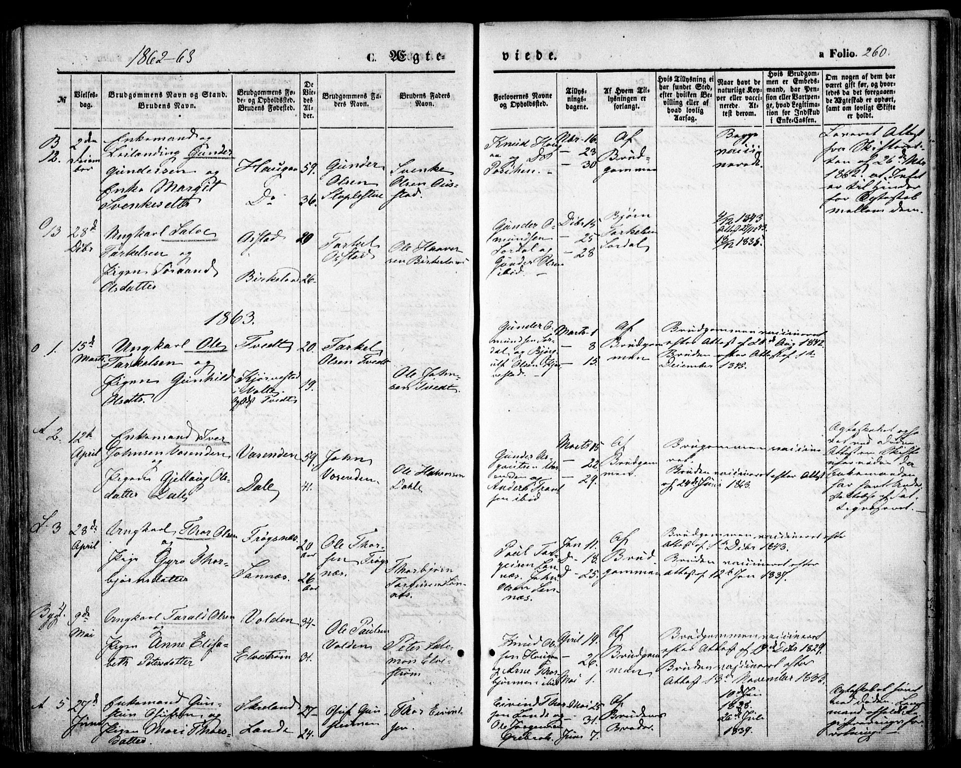 Bygland sokneprestkontor, SAK/1111-0006/F/Fa/Fab/L0005: Parish register (official) no. A 5, 1859-1873, p. 260