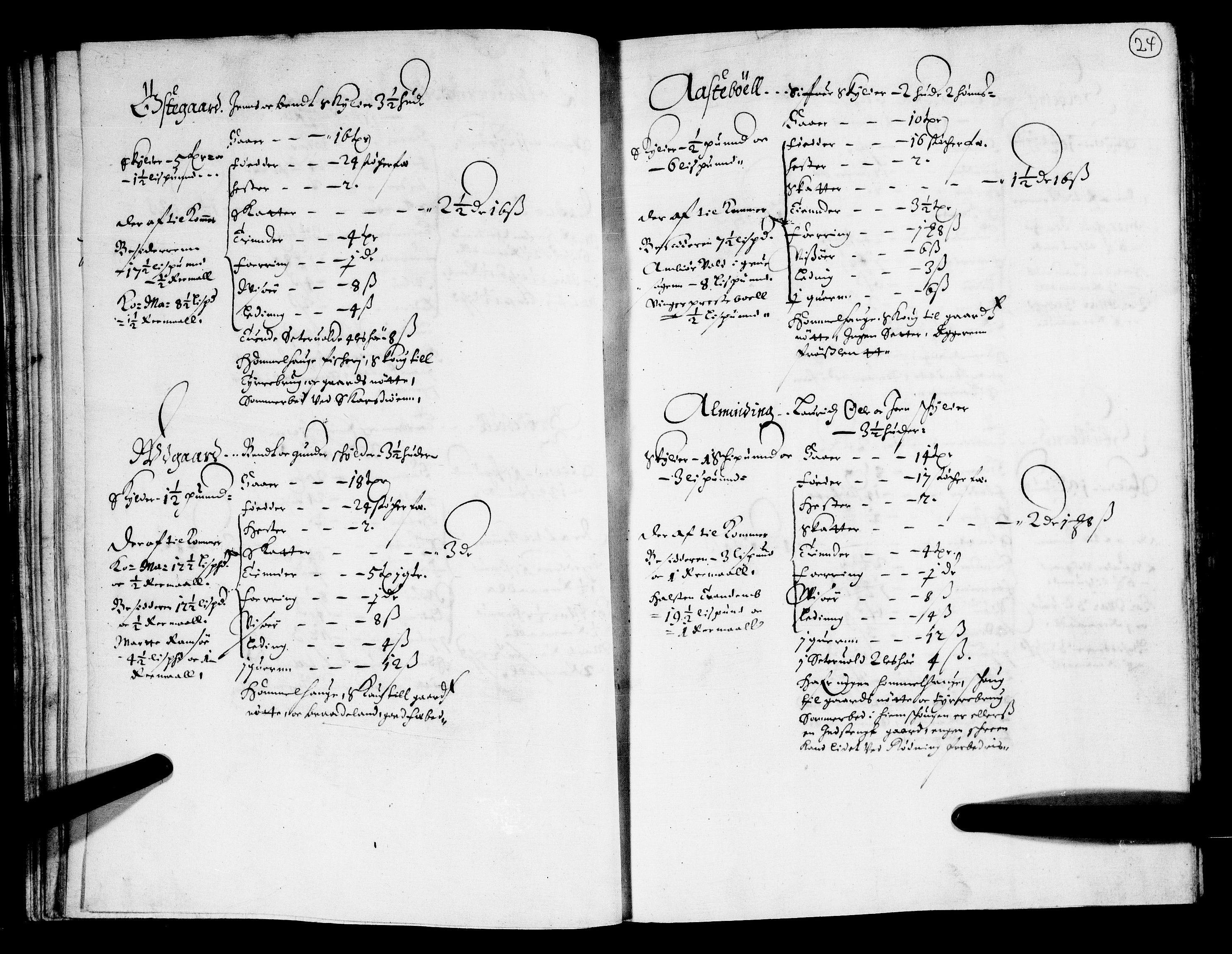 Rentekammeret inntil 1814, Realistisk ordnet avdeling, AV/RA-EA-4070/N/Nb/Nba/L0011: Odal, Solør og Østerdalen fogderi, 1667, p. 23b-24a