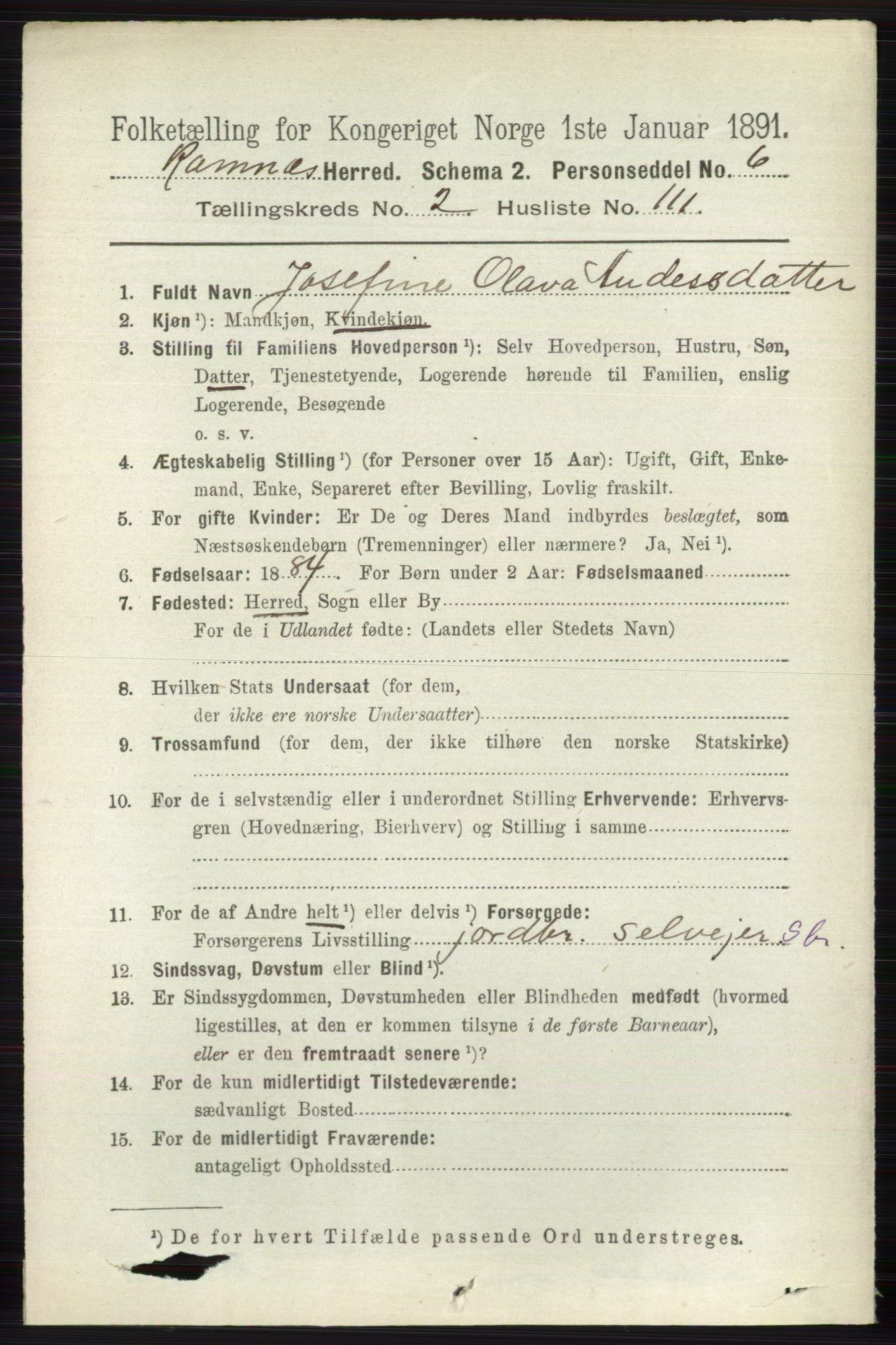 RA, 1891 census for 0718 Ramnes, 1891, p. 1196