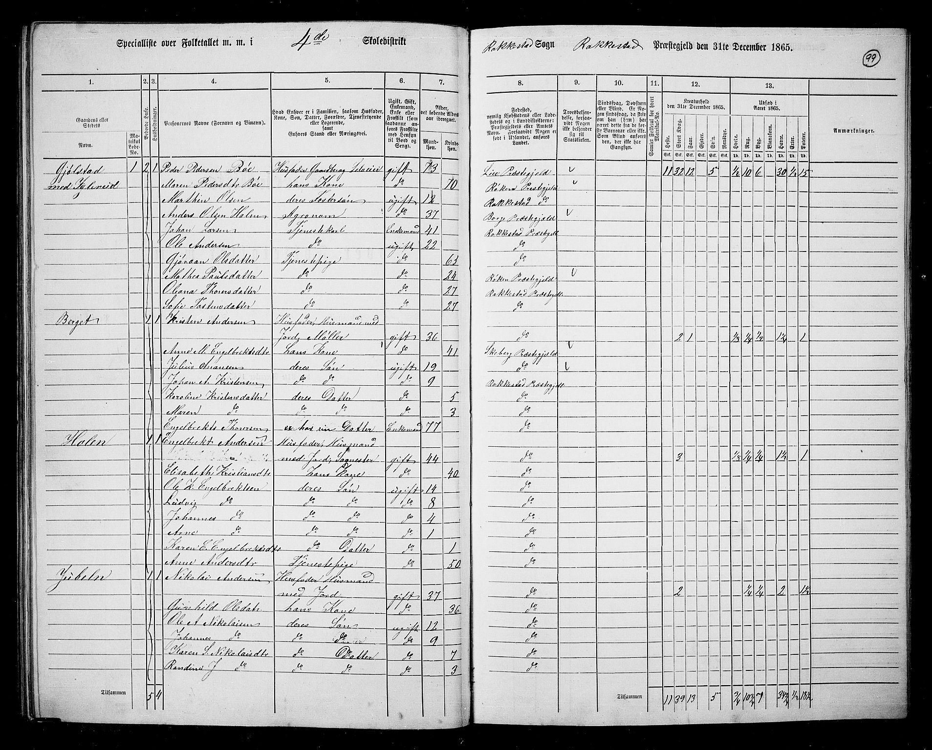 RA, 1865 census for Rakkestad, 1865, p. 97