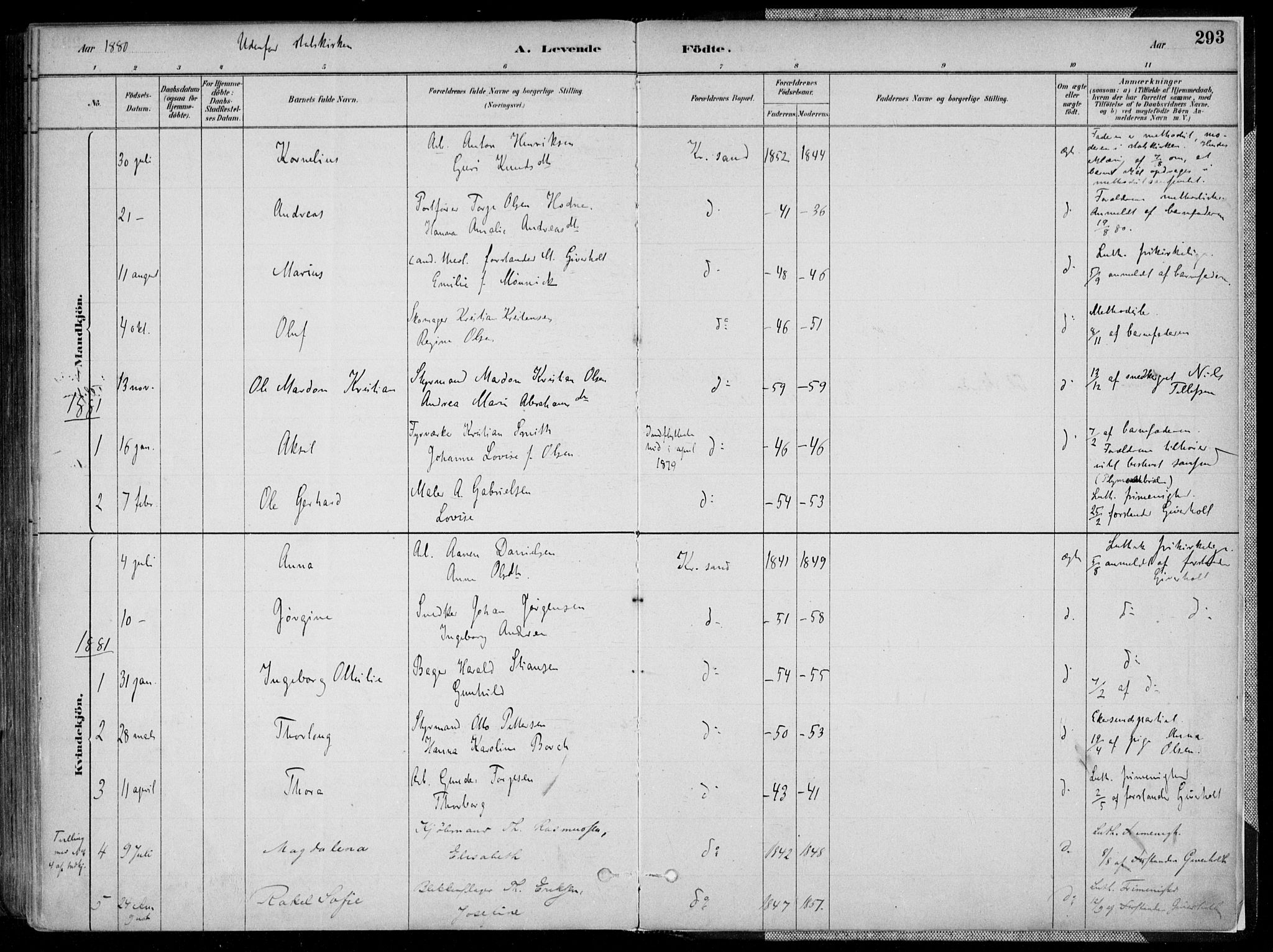 Kristiansand domprosti, AV/SAK-1112-0006/F/Fa/L0016: Parish register (official) no. A 16A, 1880-1890, p. 293