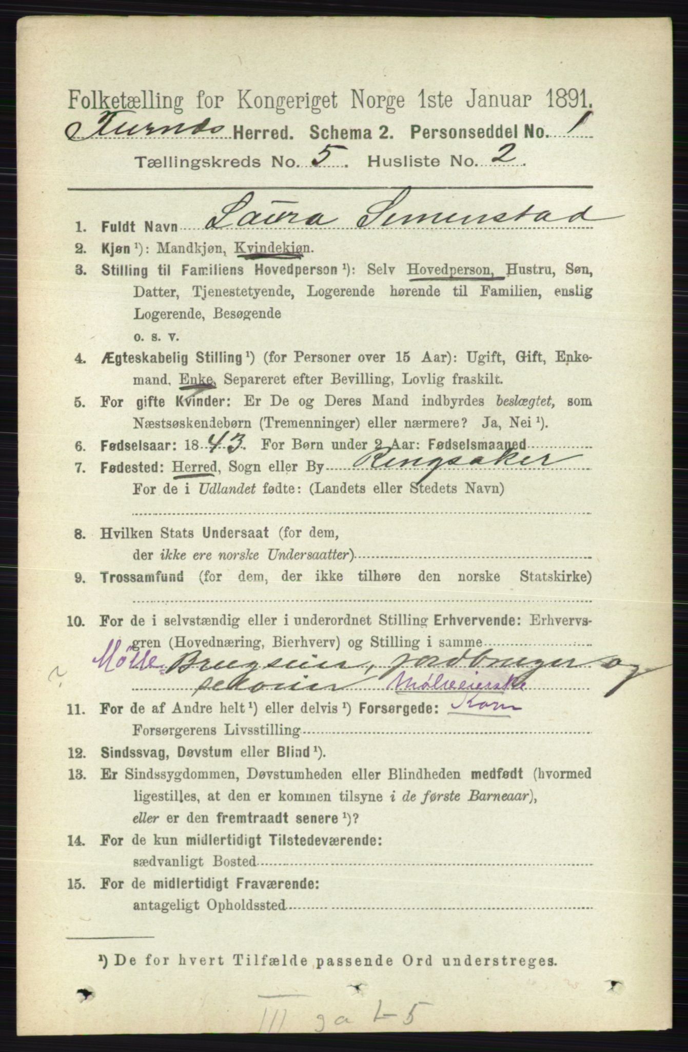 RA, Census 1891 for 0413 Furnes herred, 1891, p. 3161