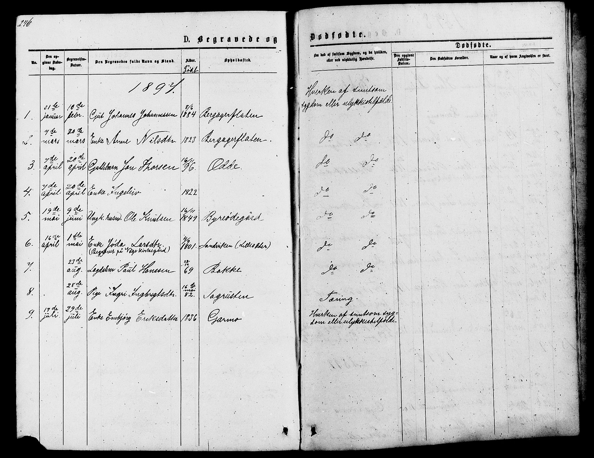 Lom prestekontor, SAH/PREST-070/L/L0005: Parish register (copy) no. 5, 1876-1901, p. 246-247