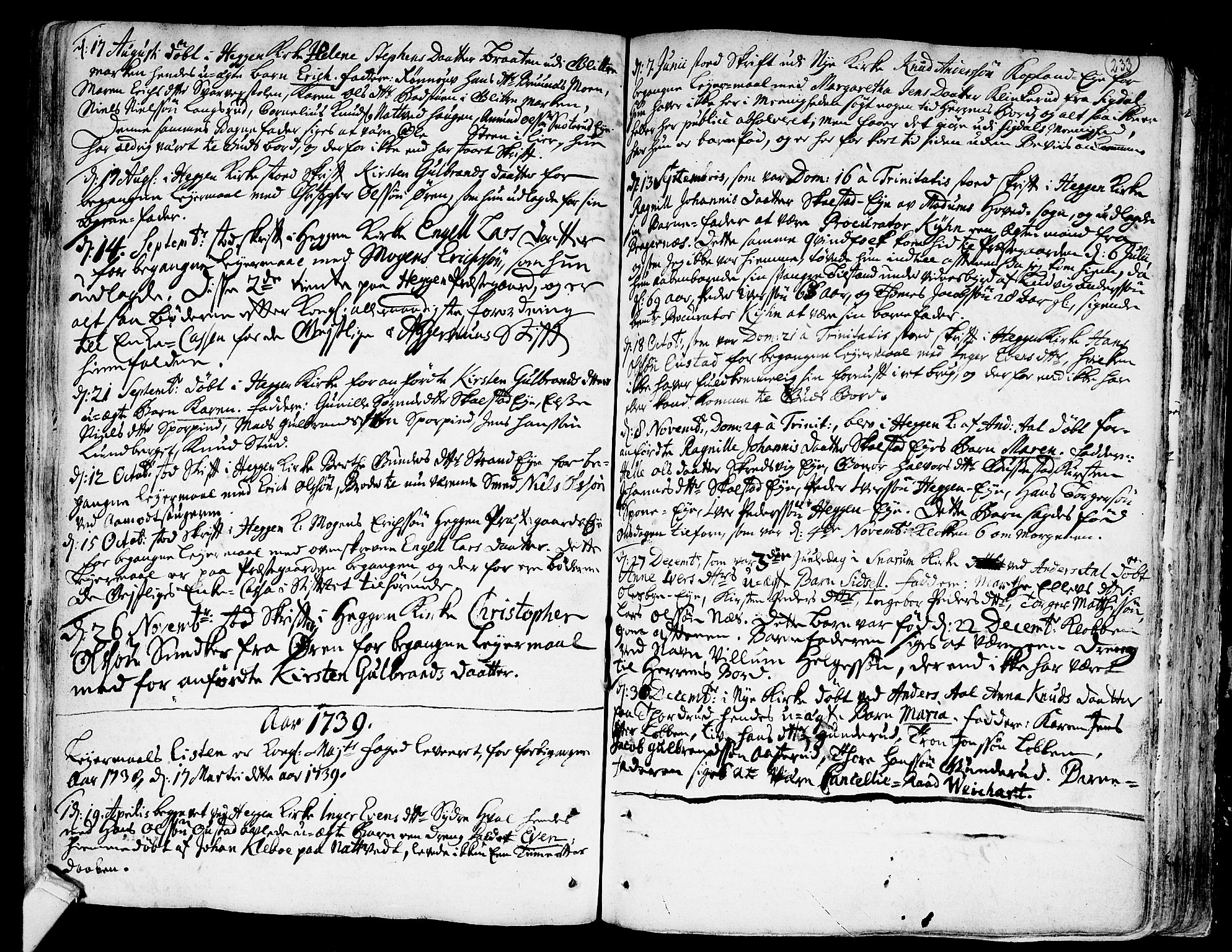 Modum kirkebøker, AV/SAKO-A-234/F/Fa/L0001: Parish register (official) no. 1, 1712-1740, p. 233