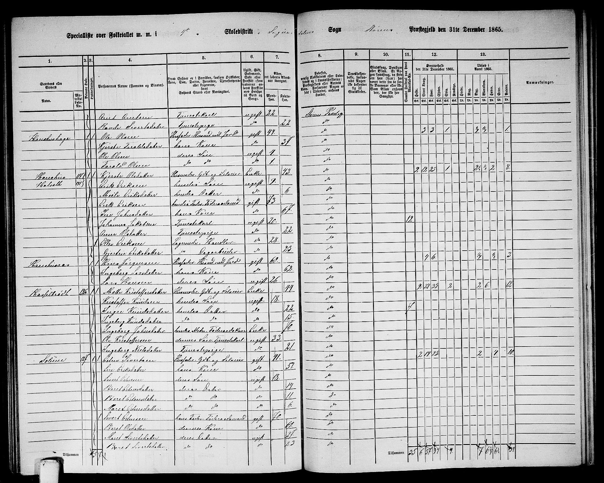 RA, 1865 census for Støren, 1865, p. 277