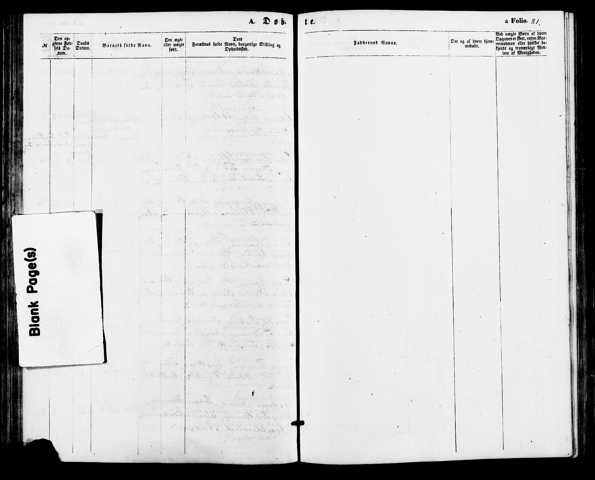 Sør-Audnedal sokneprestkontor, AV/SAK-1111-0039/F/Fa/Faa/L0003: Parish register (official) no. A 3, 1868-1883, p. 81