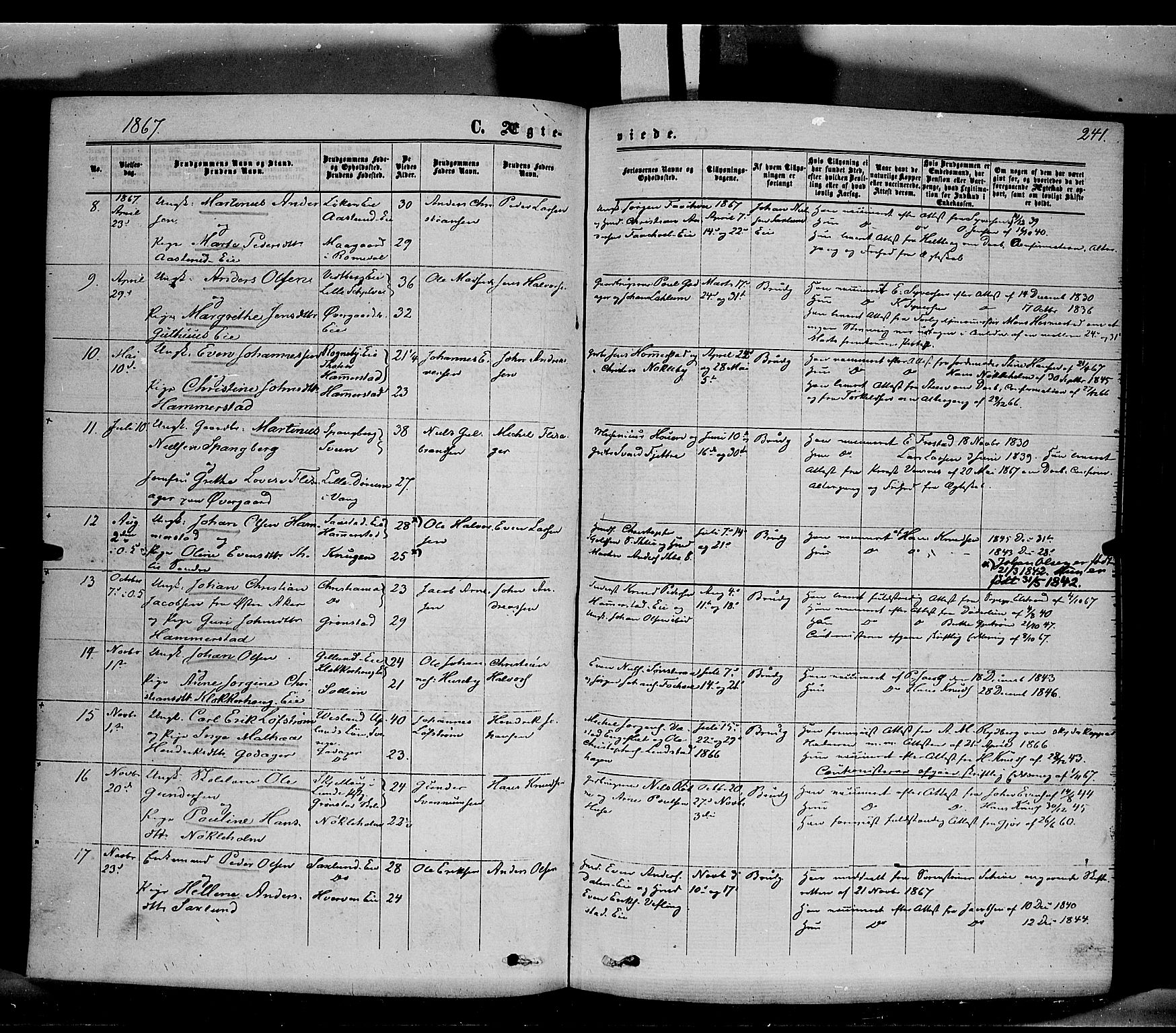 Stange prestekontor, SAH/PREST-002/K/L0013: Parish register (official) no. 13, 1862-1879, p. 241