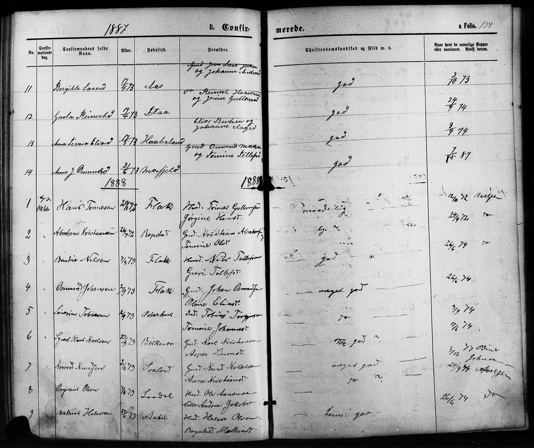Birkenes sokneprestkontor, SAK/1111-0004/F/Fb/L0003: Parish register (copy) no. B 3, 1876-1892, p. 134
