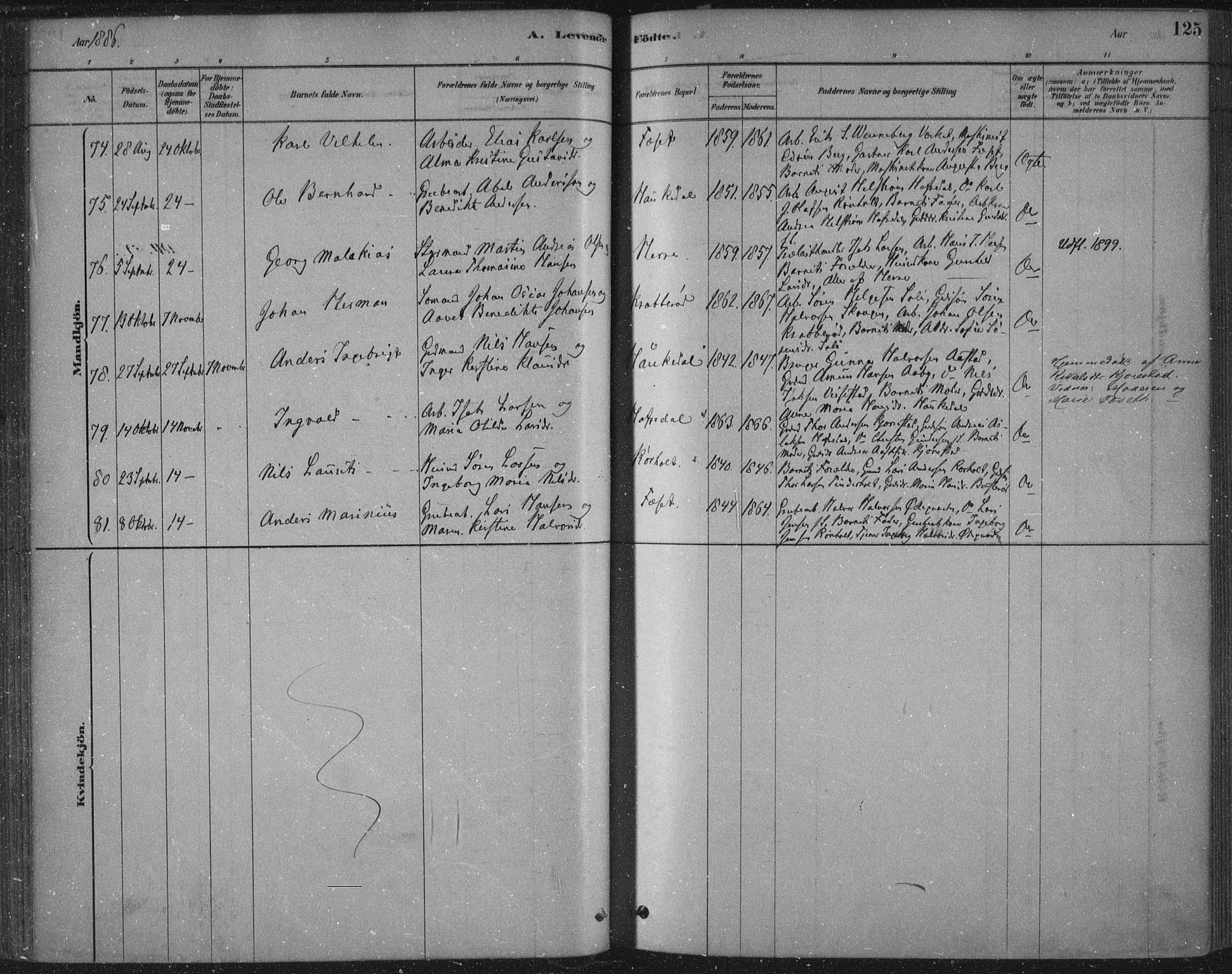 Bamble kirkebøker, AV/SAKO-A-253/F/Fa/L0007: Parish register (official) no. I 7, 1878-1888, p. 125