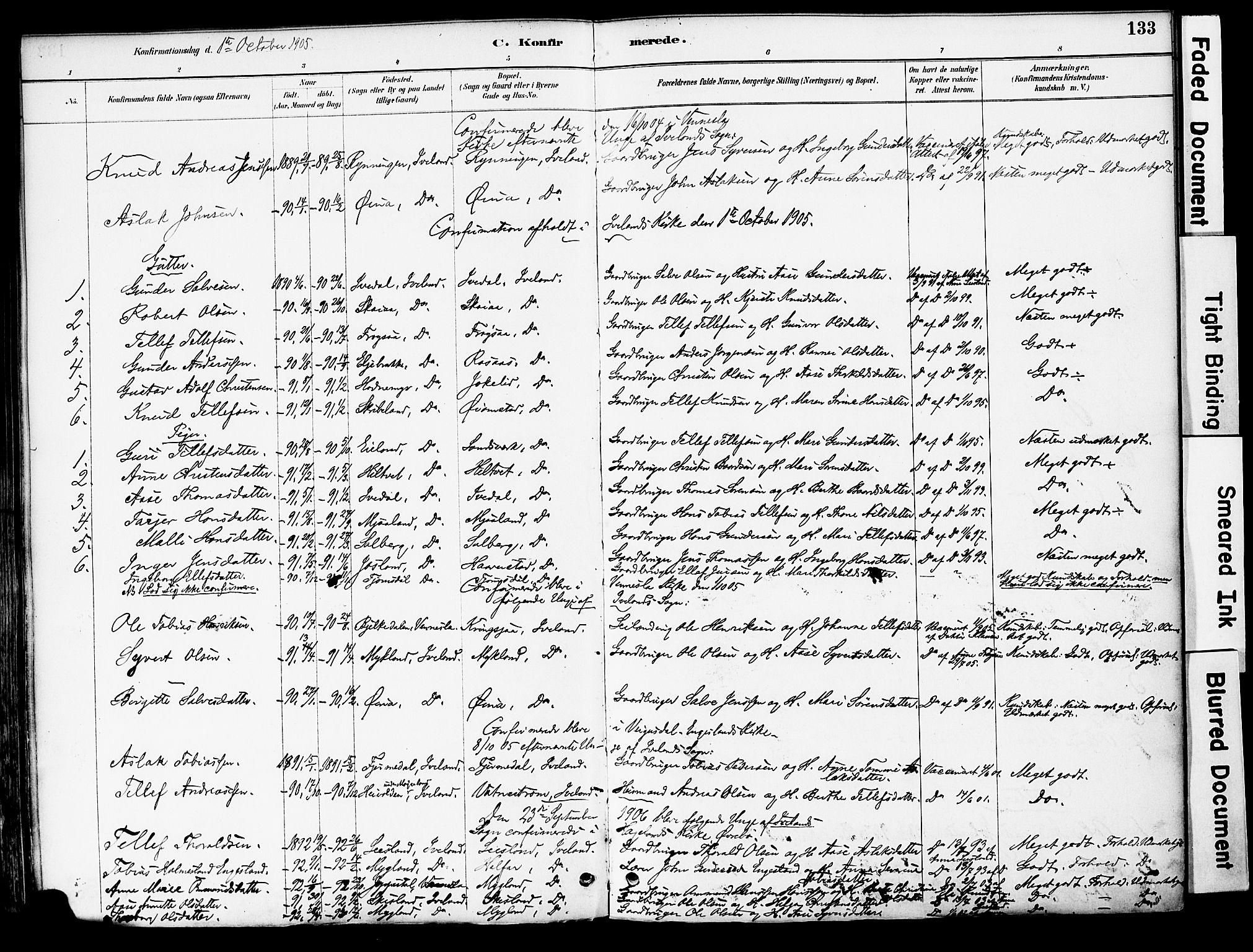 Evje sokneprestkontor, AV/SAK-1111-0008/F/Fa/Fac/L0003: Parish register (official) no. A 3, 1884-1909, p. 133