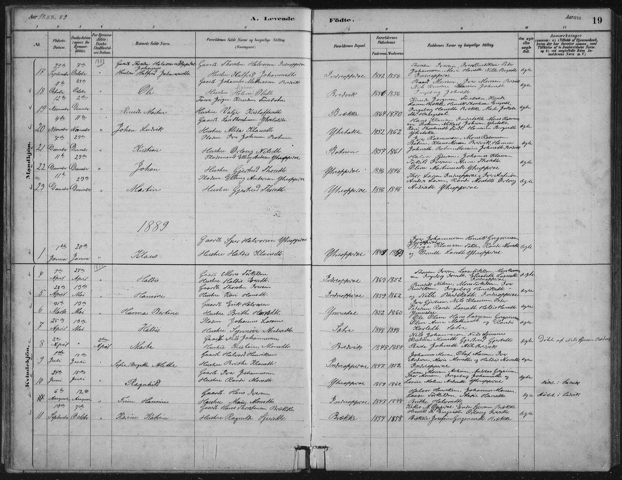 Gulen sokneprestembete, AV/SAB-A-80201/H/Hab/Habc/L0002: Parish register (copy) no. C 2, 1880-1938, p. 19