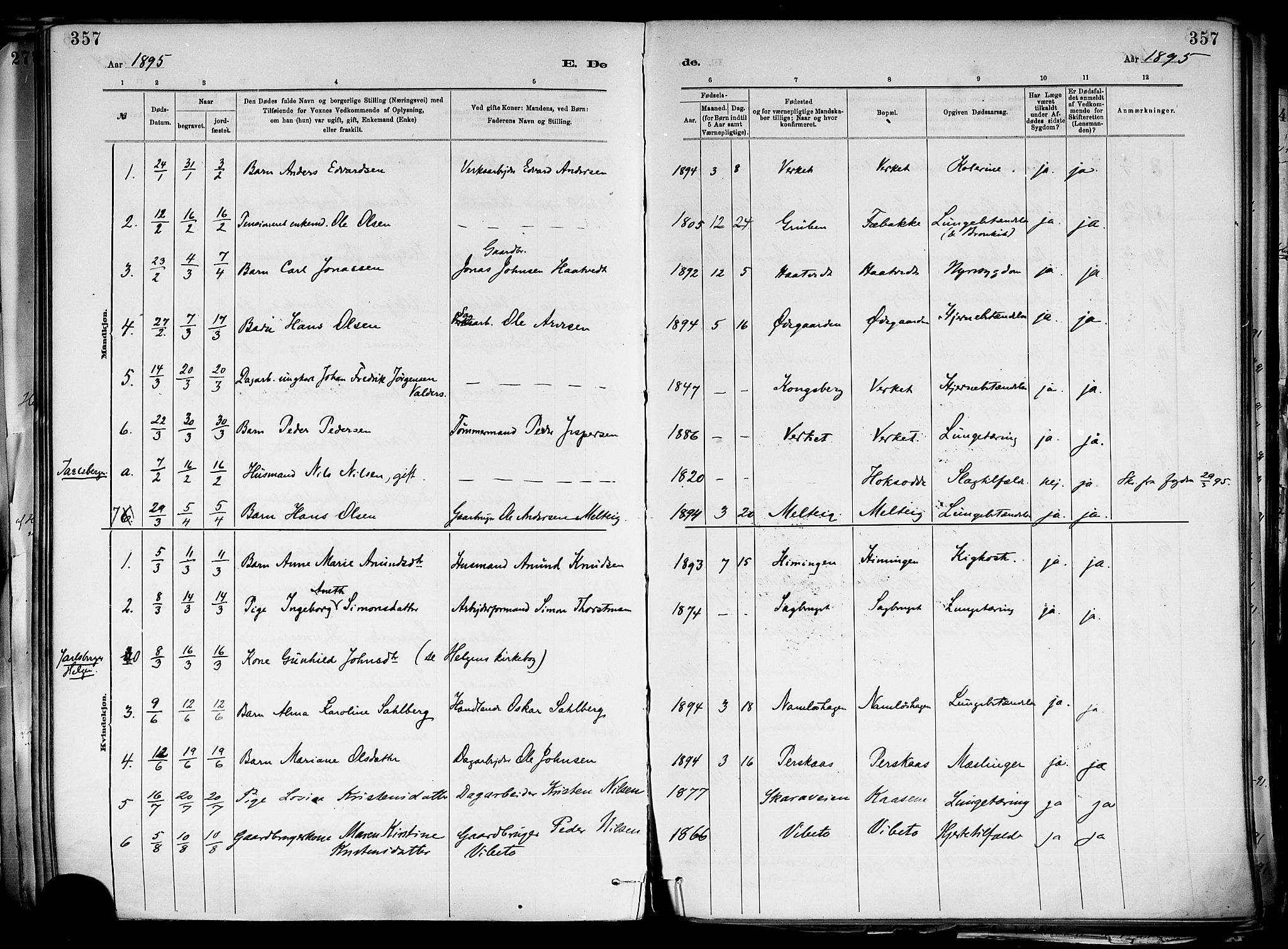 Holla kirkebøker, SAKO/A-272/F/Fa/L0008: Parish register (official) no. 8, 1882-1897, p. 357