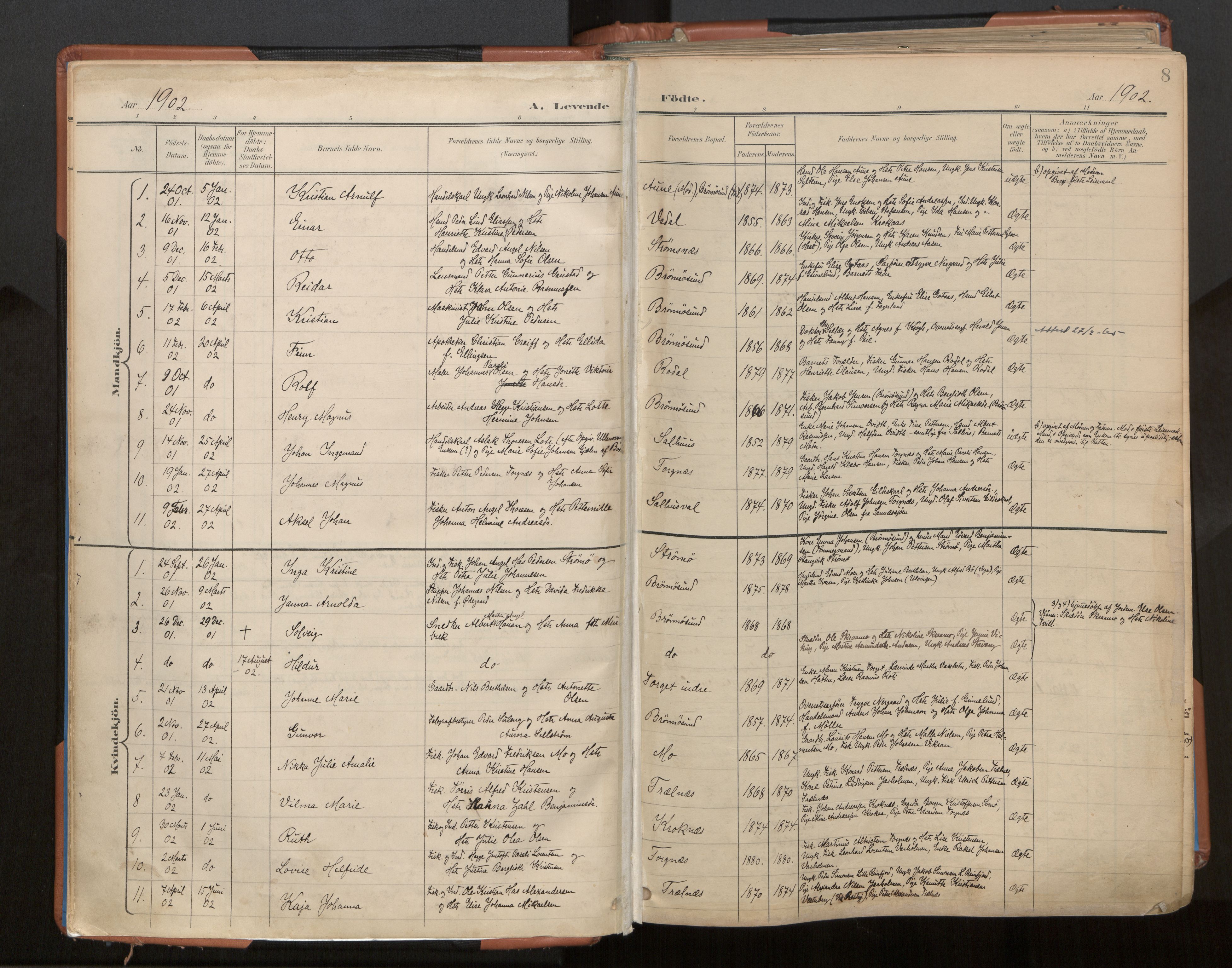 Ministerialprotokoller, klokkerbøker og fødselsregistre - Nordland, SAT/A-1459/813/L0201: Parish register (official) no. 813A11, 1901-1918, p. 8
