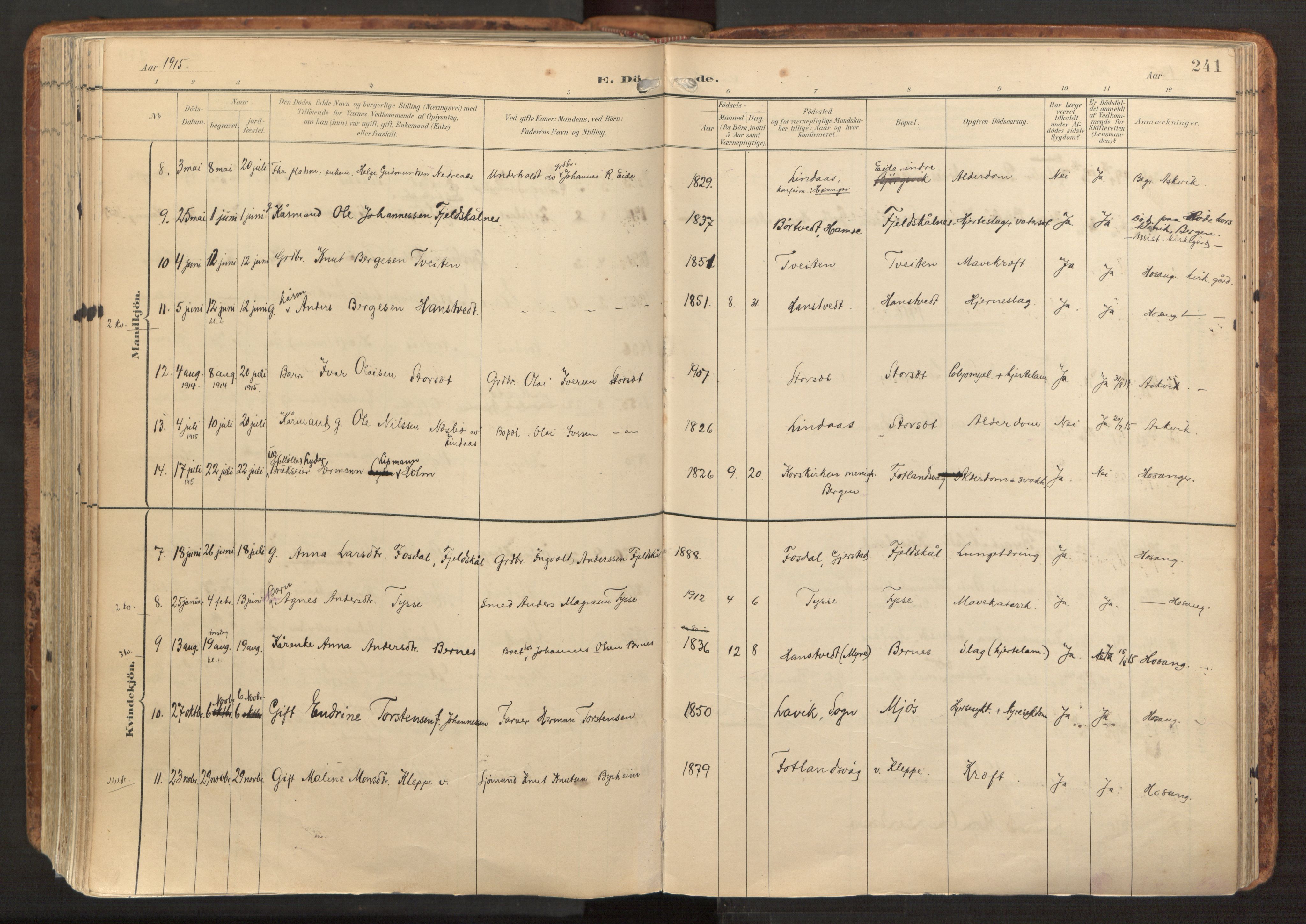 Hosanger sokneprestembete, AV/SAB-A-75801/H/Haa: Parish register (official) no. B 2, 1897-1923, p. 241