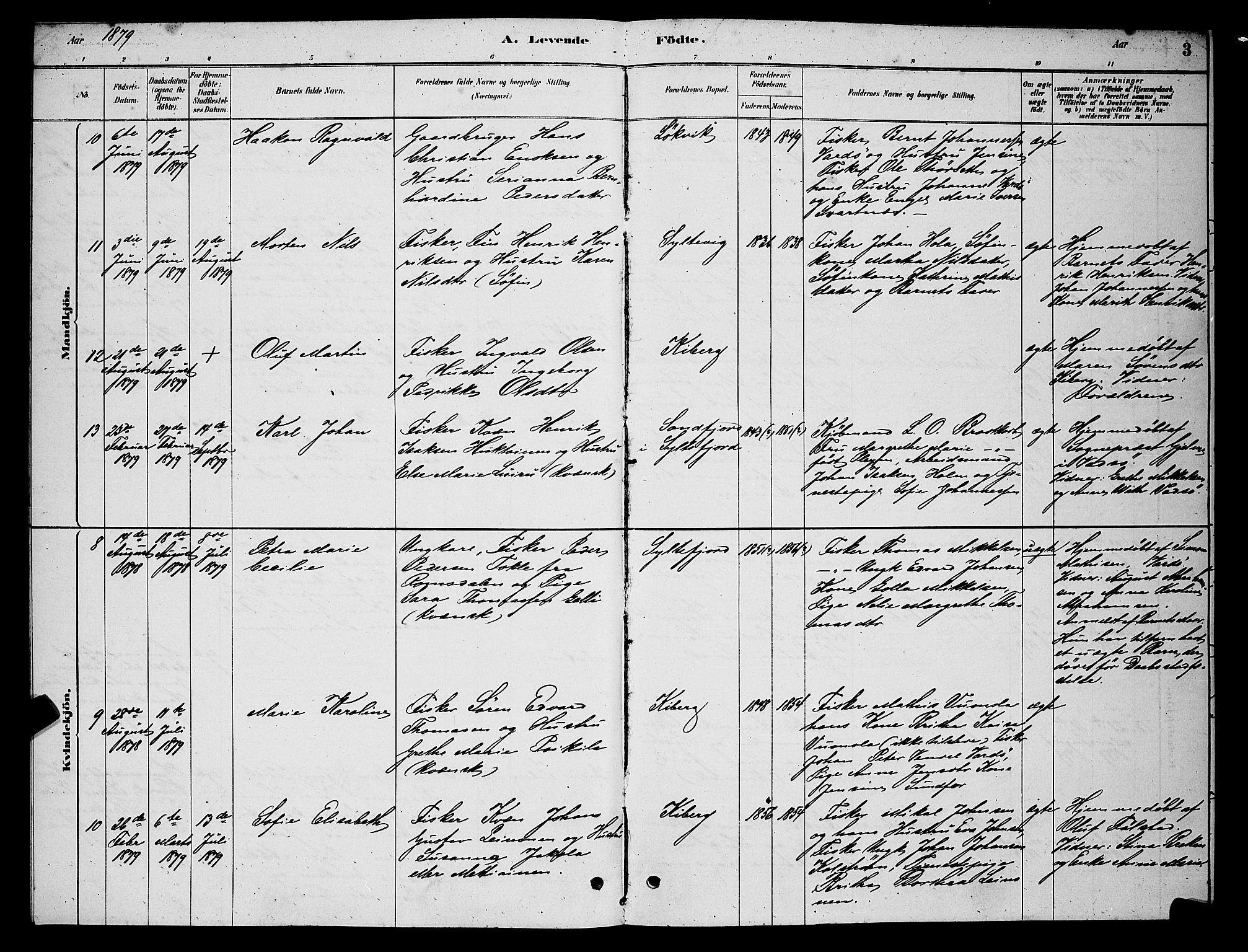 Vardø sokneprestkontor, AV/SATØ-S-1332/H/Hb/L0006klokker: Parish register (copy) no. 6, 1879-1887, p. 3