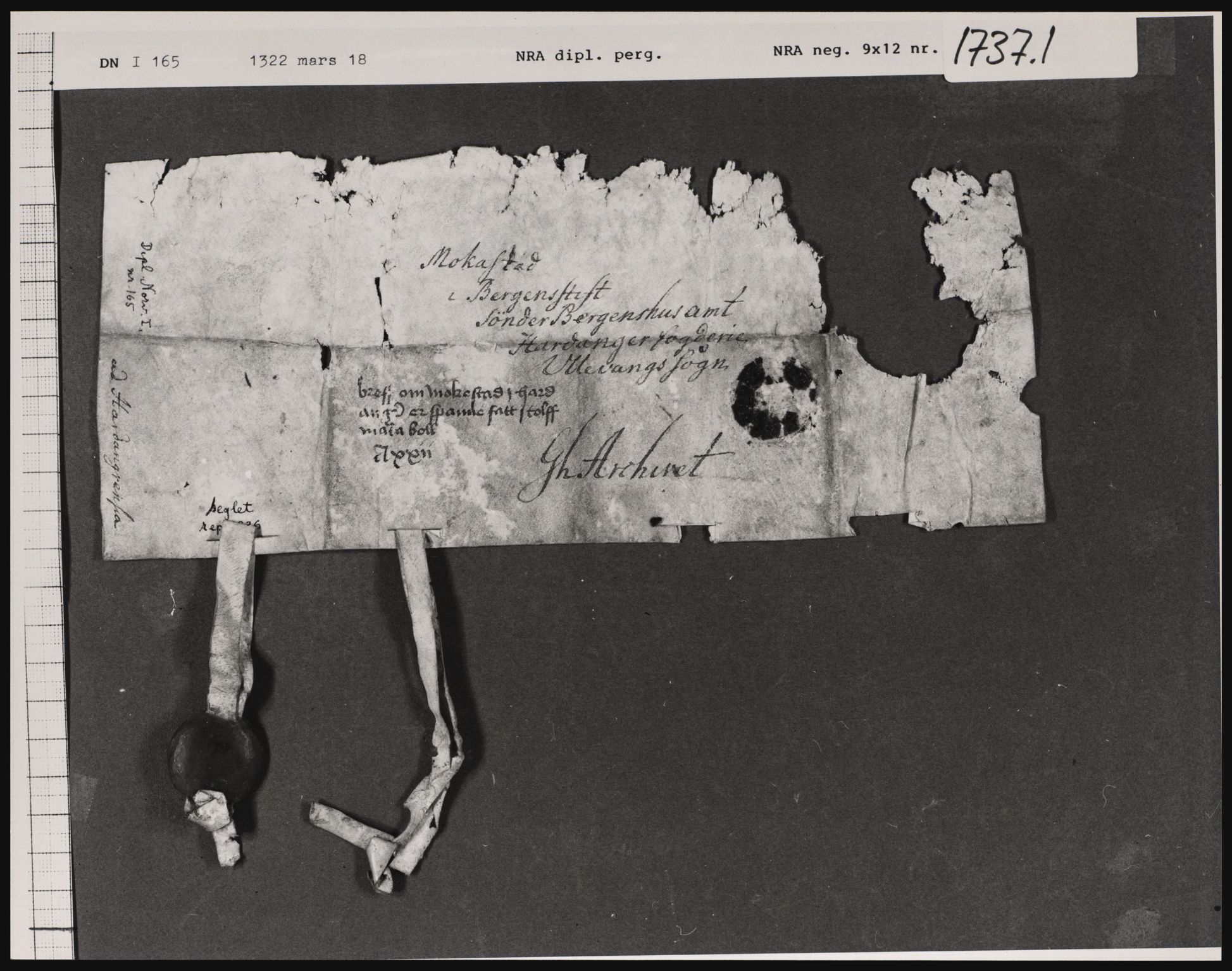 Riksarkivets diplomsamling, AV/RA-EA-5965/F01/F01a/L0014: Dokumenter, 1321-1322, p. 9