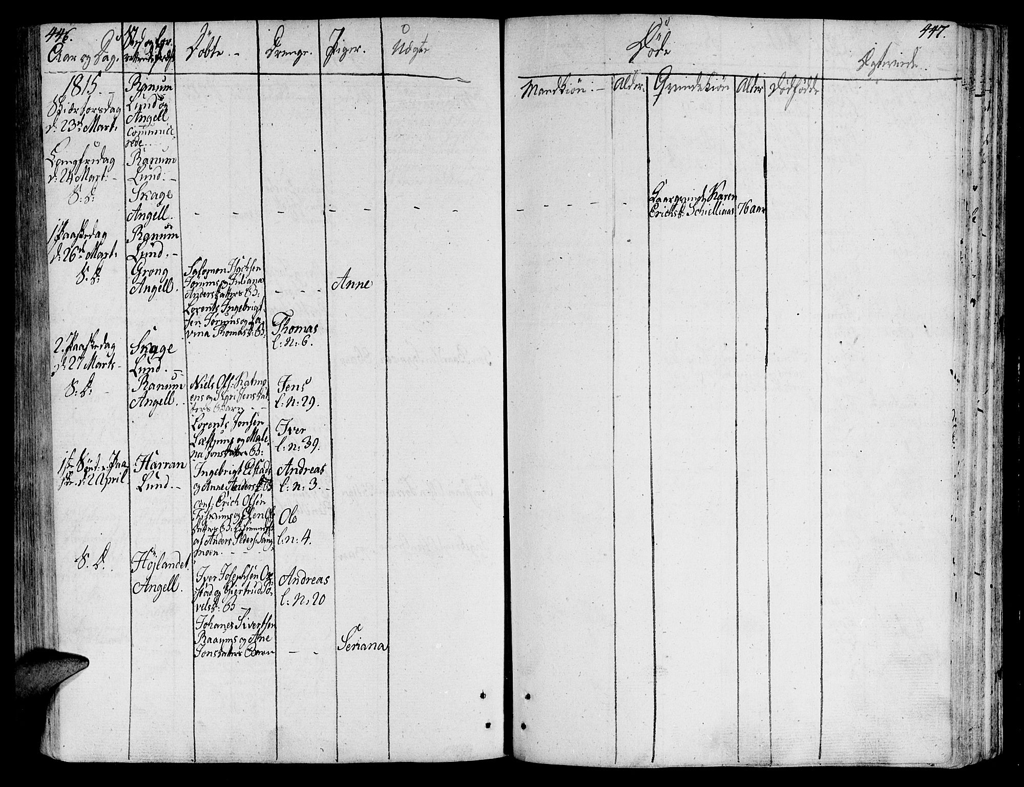 Ministerialprotokoller, klokkerbøker og fødselsregistre - Nord-Trøndelag, AV/SAT-A-1458/764/L0545: Parish register (official) no. 764A05, 1799-1816, p. 446-447