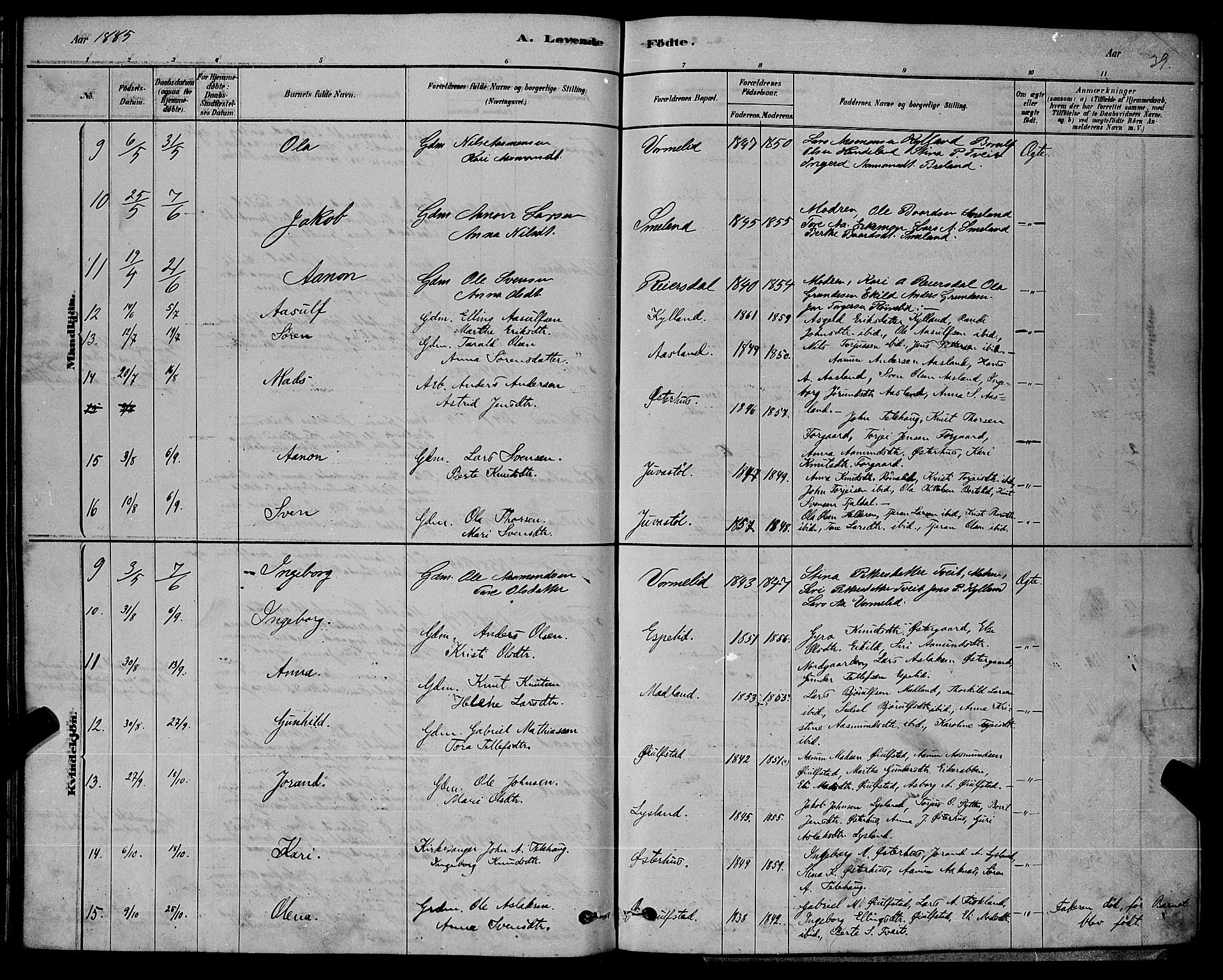 Åseral sokneprestkontor, AV/SAK-1111-0051/F/Fb/L0002: Parish register (copy) no. B 2, 1878-1899, p. 39