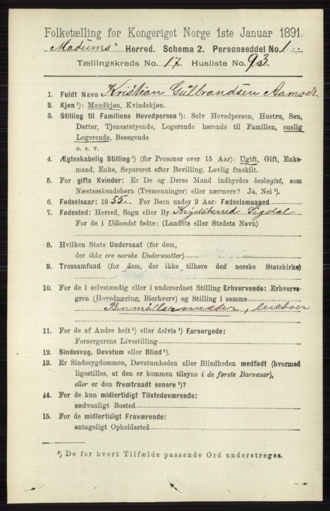 RA, 1891 census for 0623 Modum, 1891, p. 7128