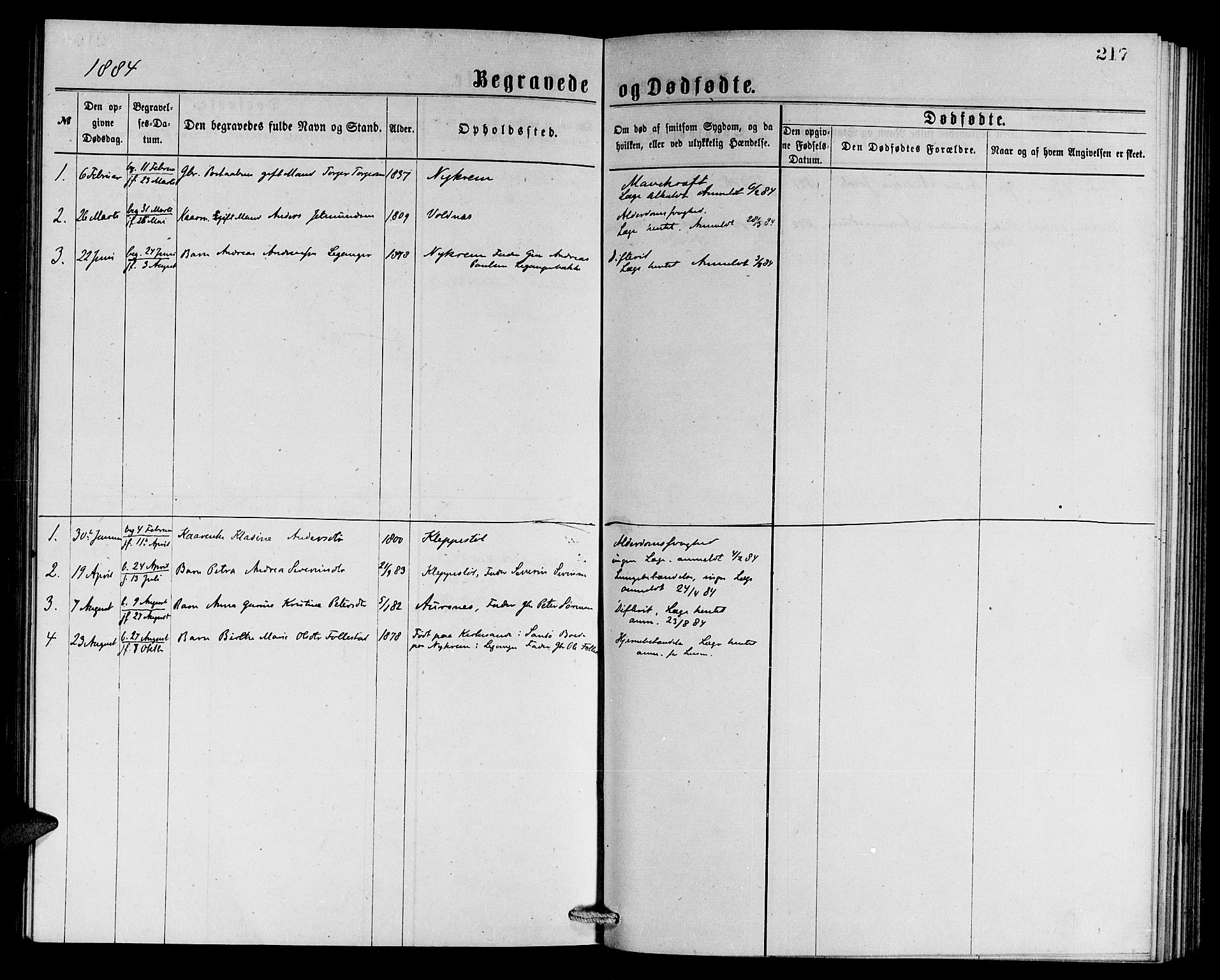 Ministerialprotokoller, klokkerbøker og fødselsregistre - Møre og Romsdal, SAT/A-1454/508/L0094: Parish register (official) no. 508A01, 1873-1886, p. 217