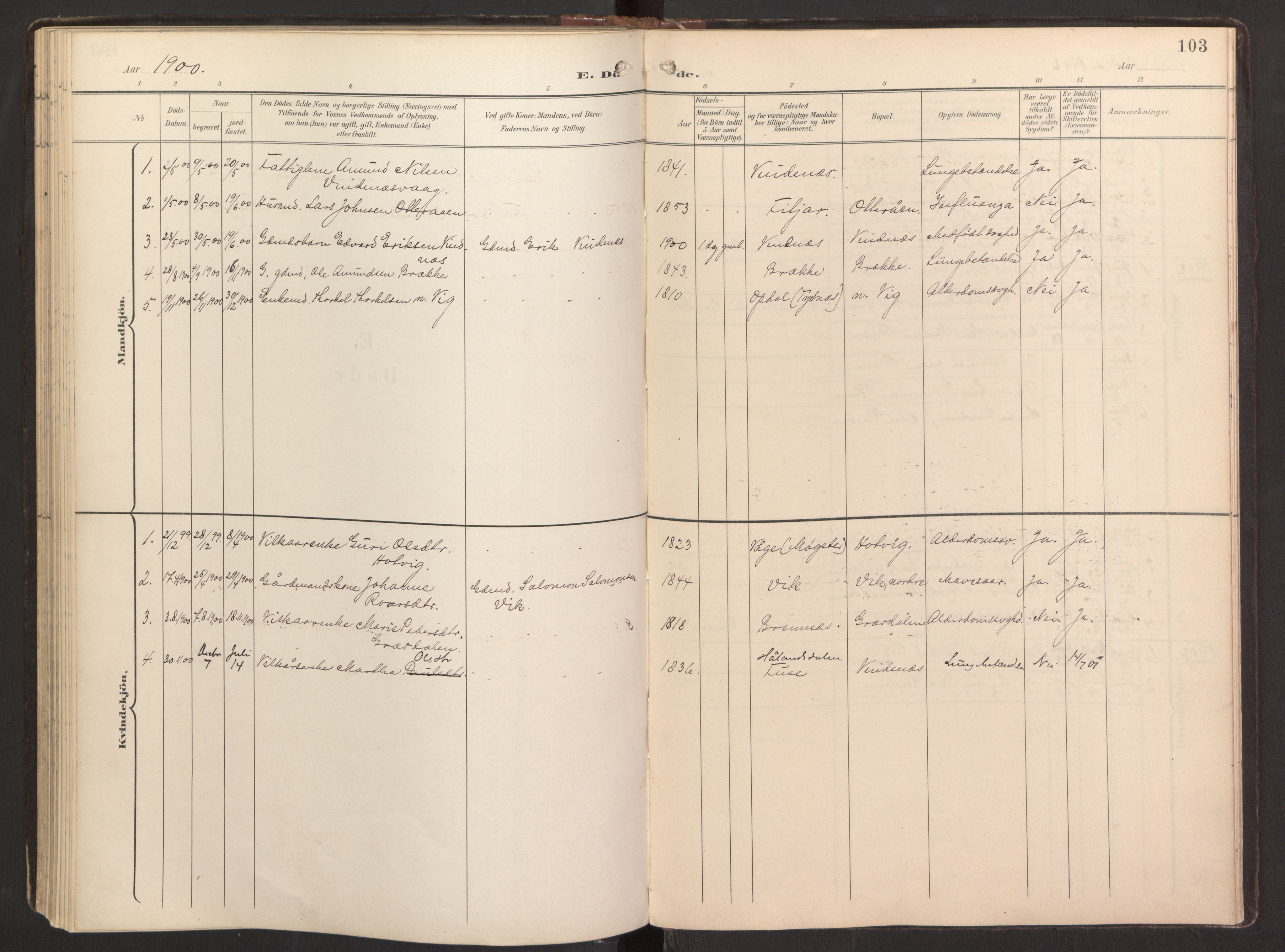 Fitjar sokneprestembete, SAB/A-99926: Parish register (official) no. B 1, 1900-1926, p. 103