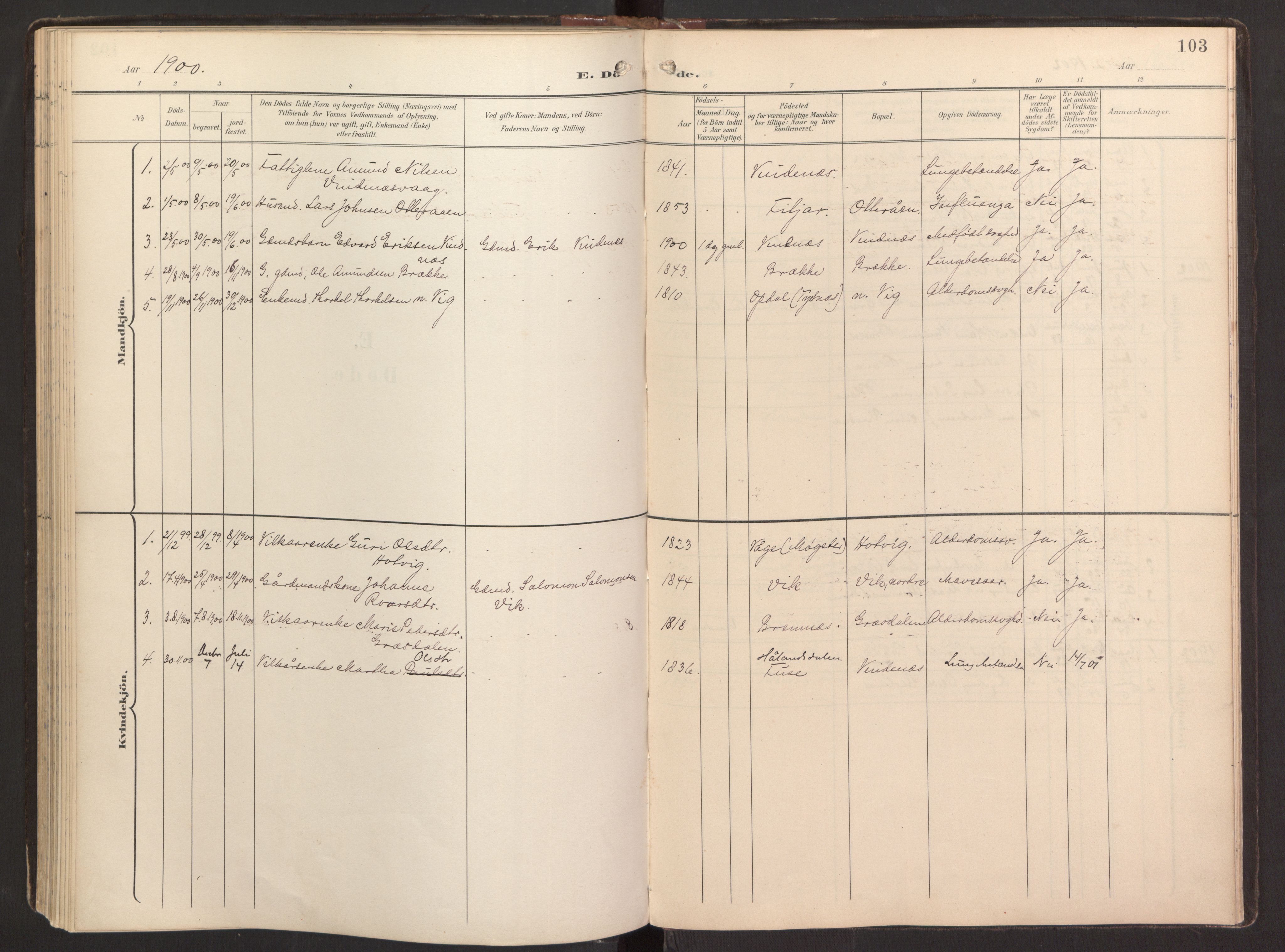 Fitjar sokneprestembete, AV/SAB-A-99926: Parish register (official) no. B 1, 1900-1926, p. 103