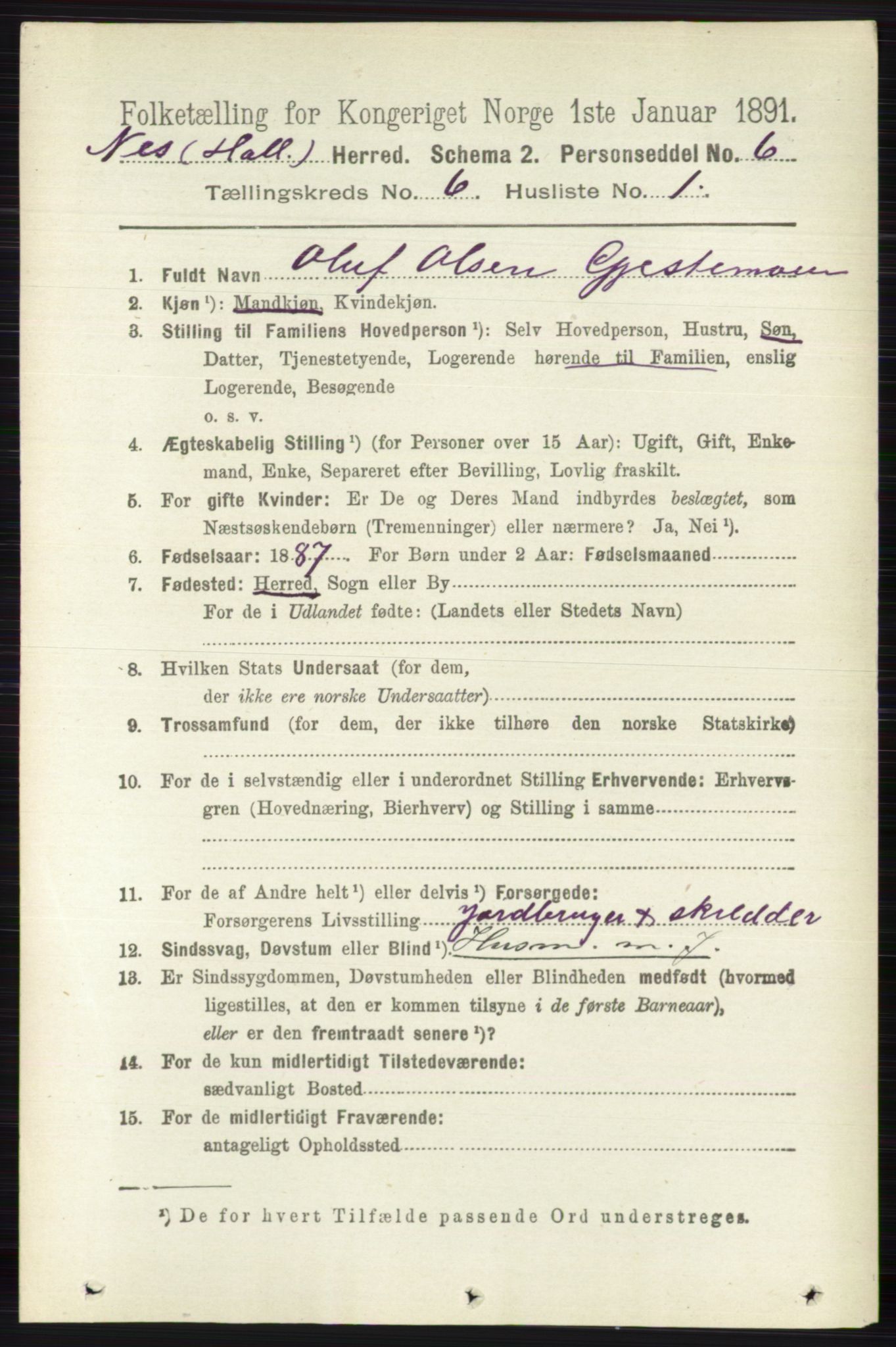 RA, 1891 census for 0616 Nes, 1891, p. 3049