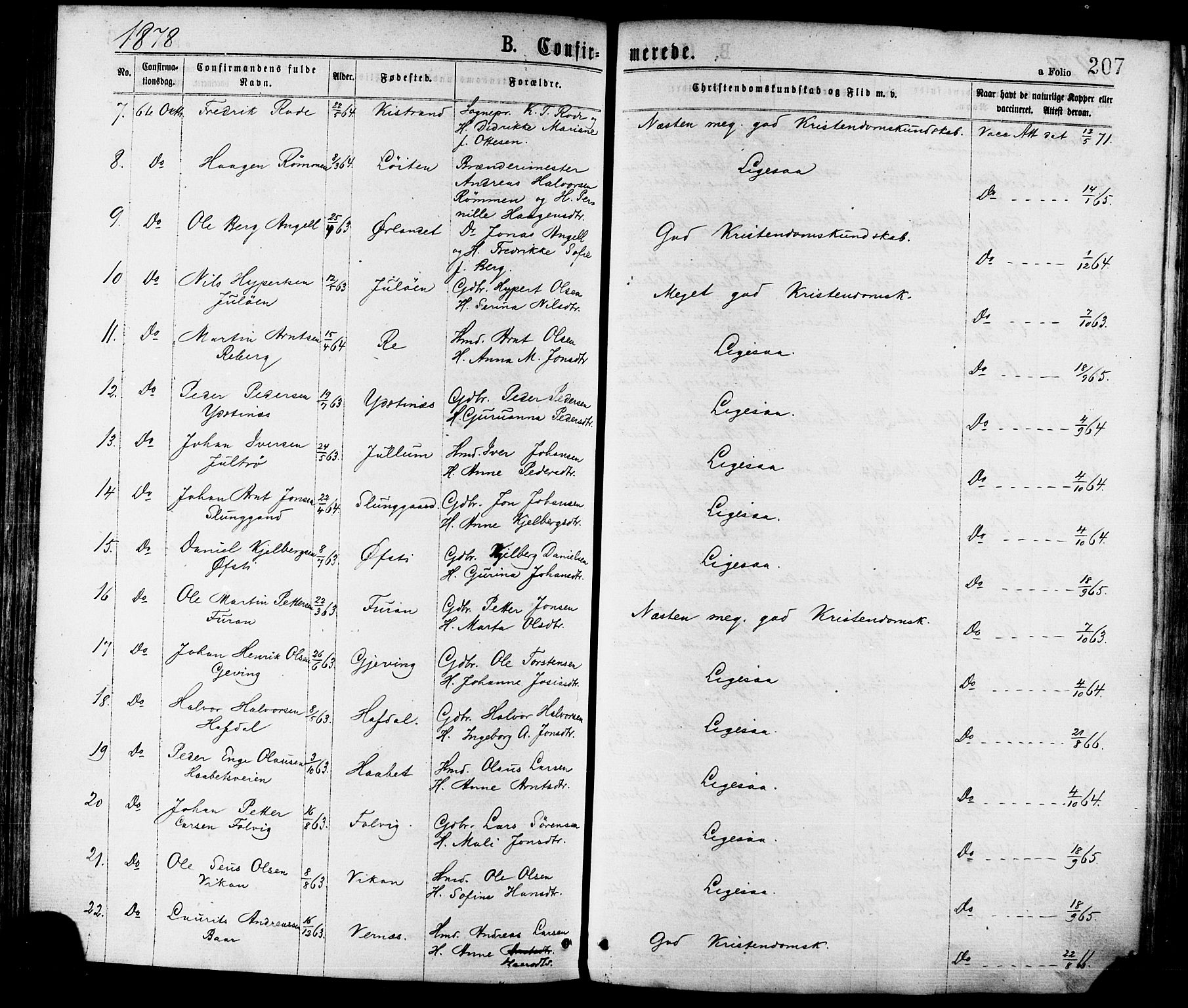 Ministerialprotokoller, klokkerbøker og fødselsregistre - Nord-Trøndelag, AV/SAT-A-1458/709/L0076: Parish register (official) no. 709A16, 1871-1879, p. 207